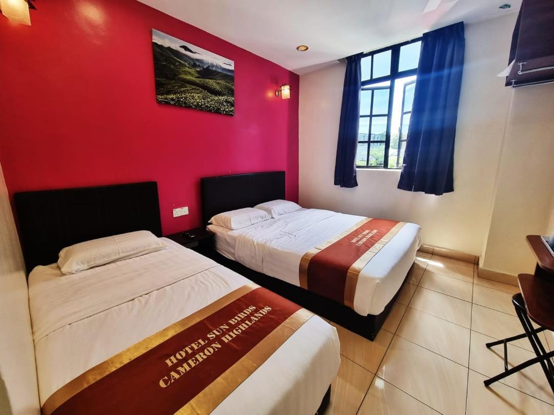 Triple Room - Photo 5