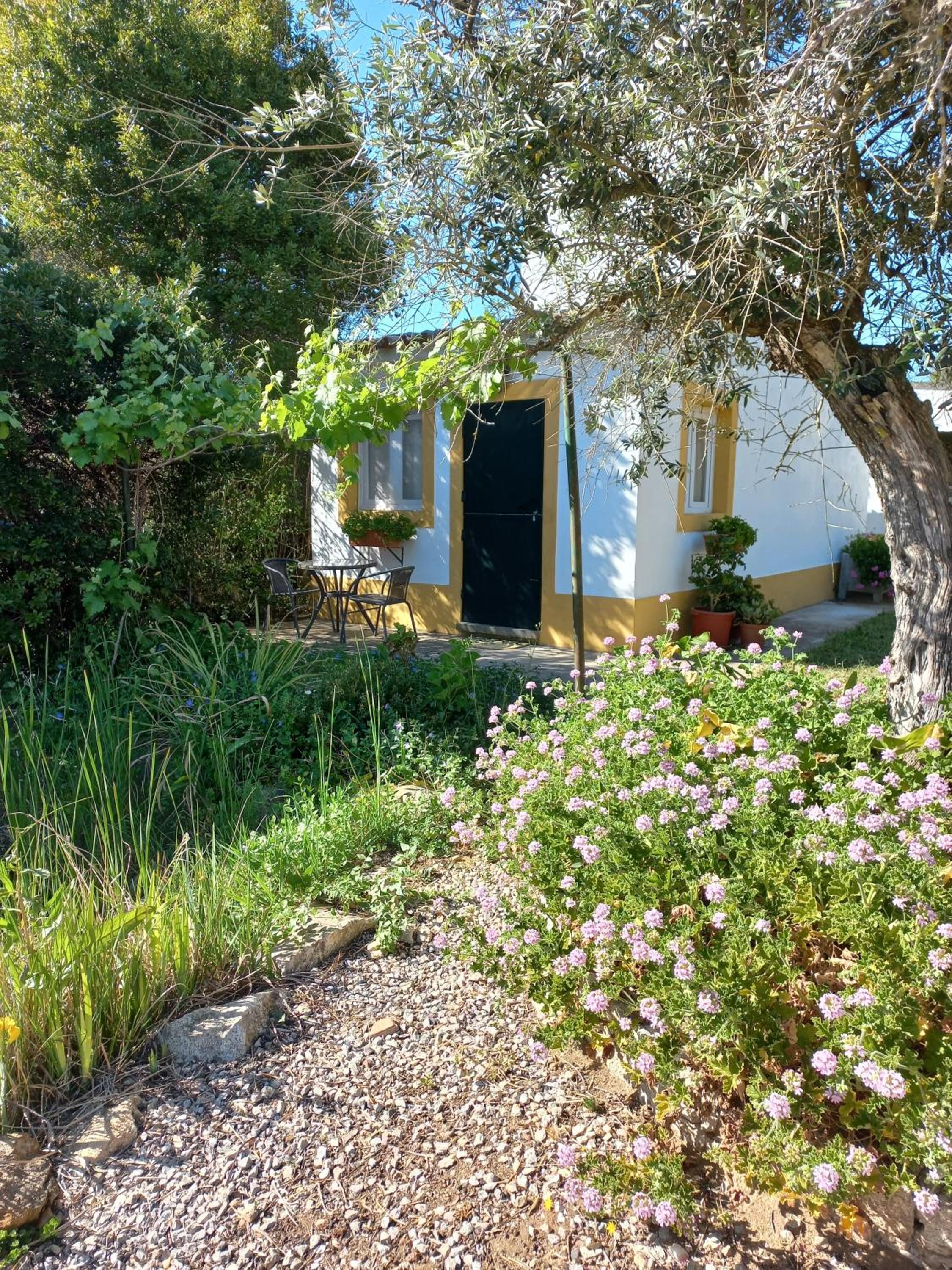 Studio with Garden View photo 3