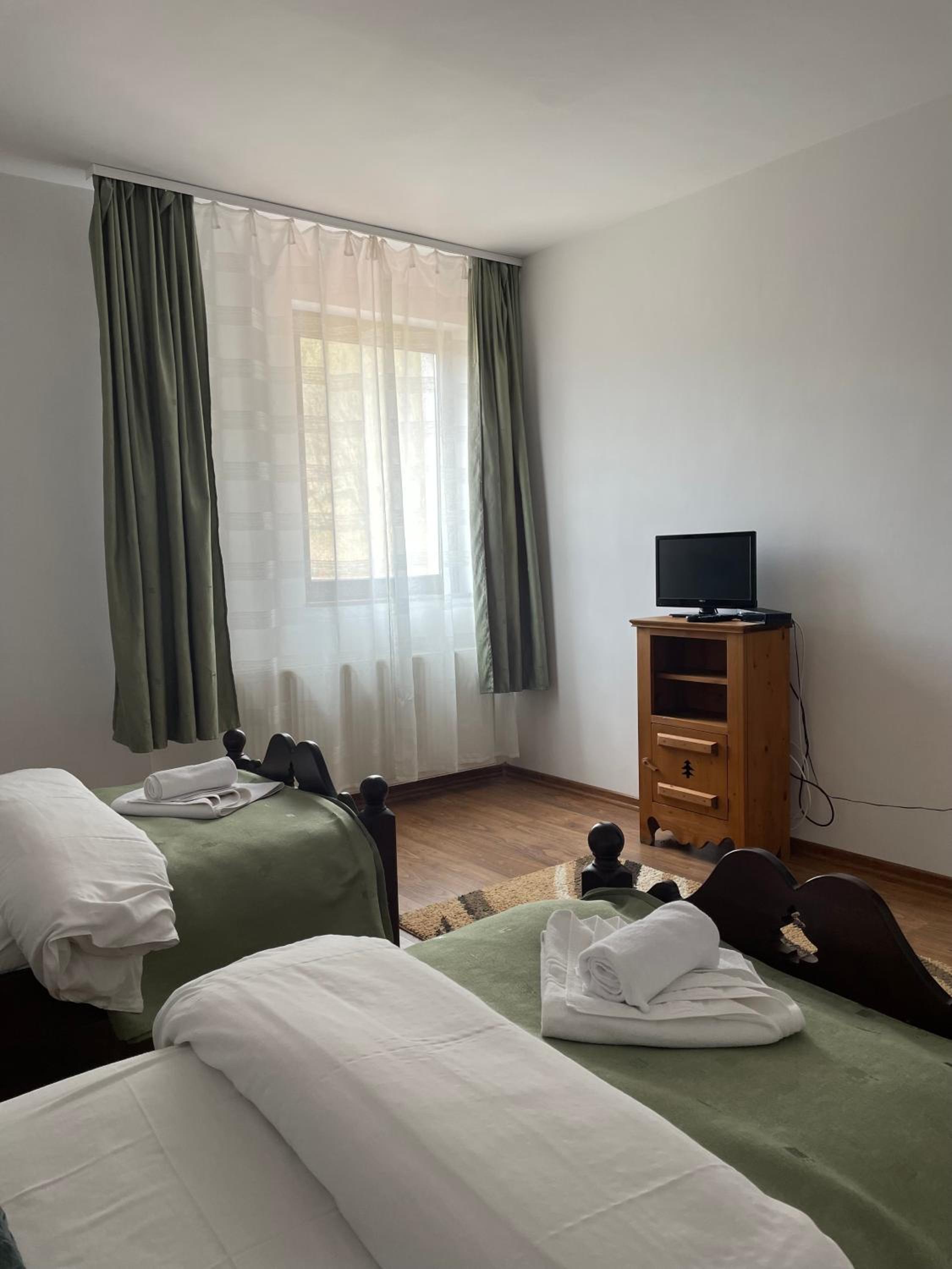 Large Twin Room photo 2