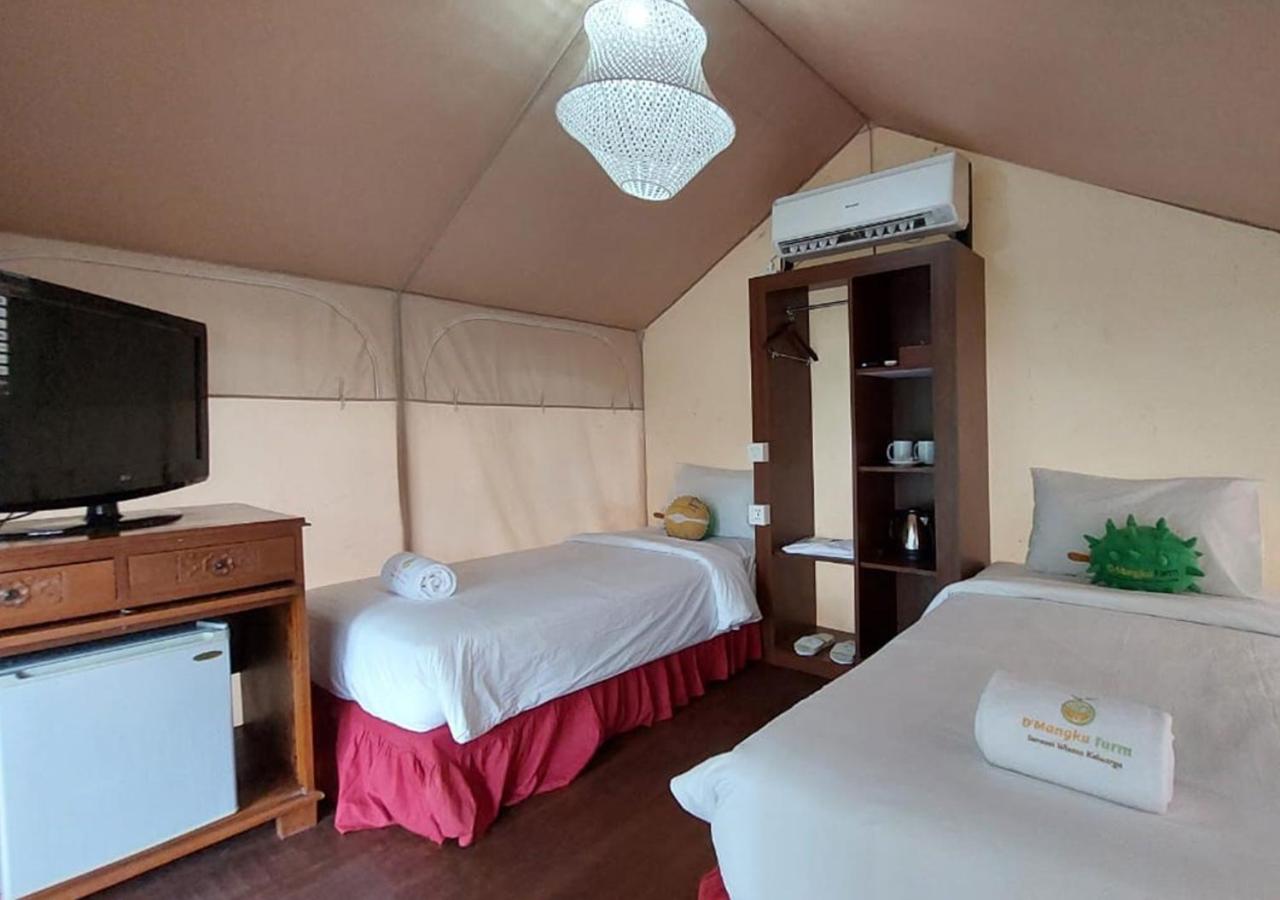 Twin Room photo 1