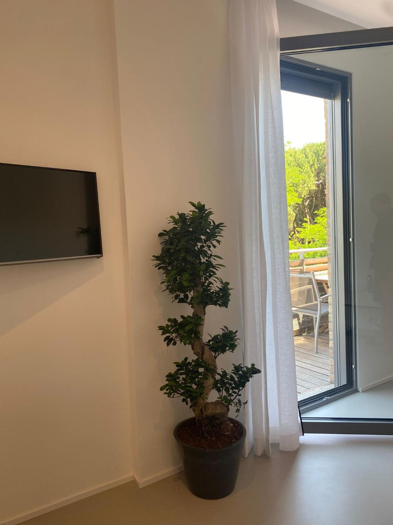 Suite with Terrace and Partial Sea View - Photo 2