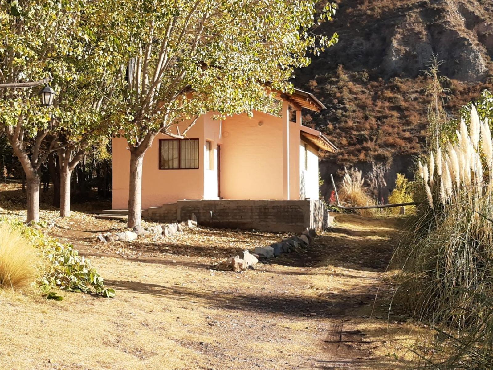 Two-Bedroom House photo 2