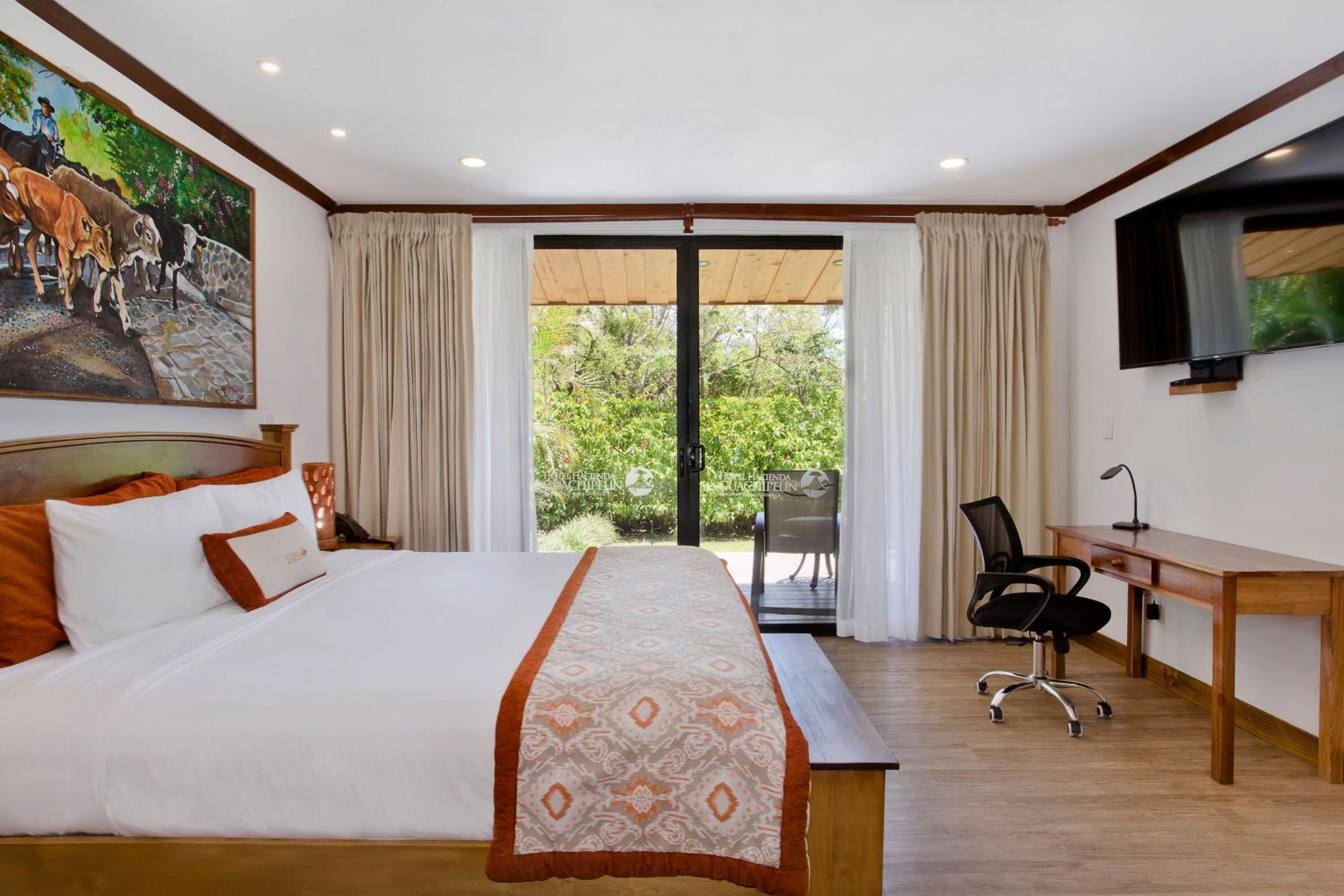 Suite - Photo 1