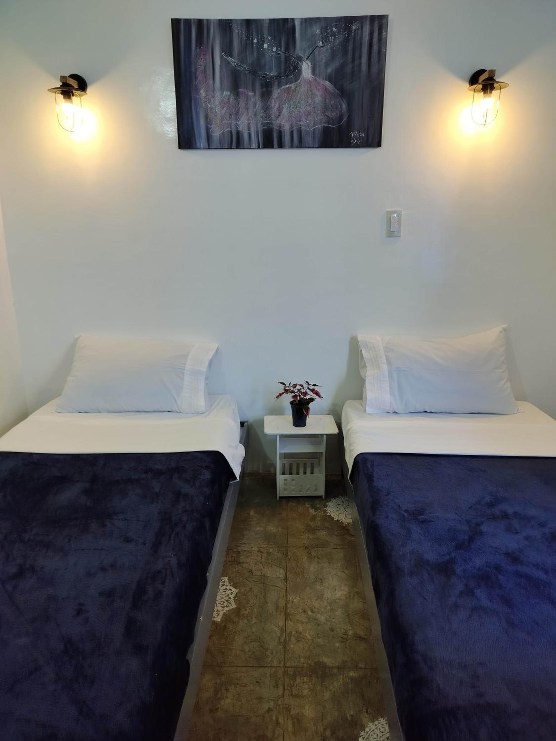 Deluxe Twin Room photo 2