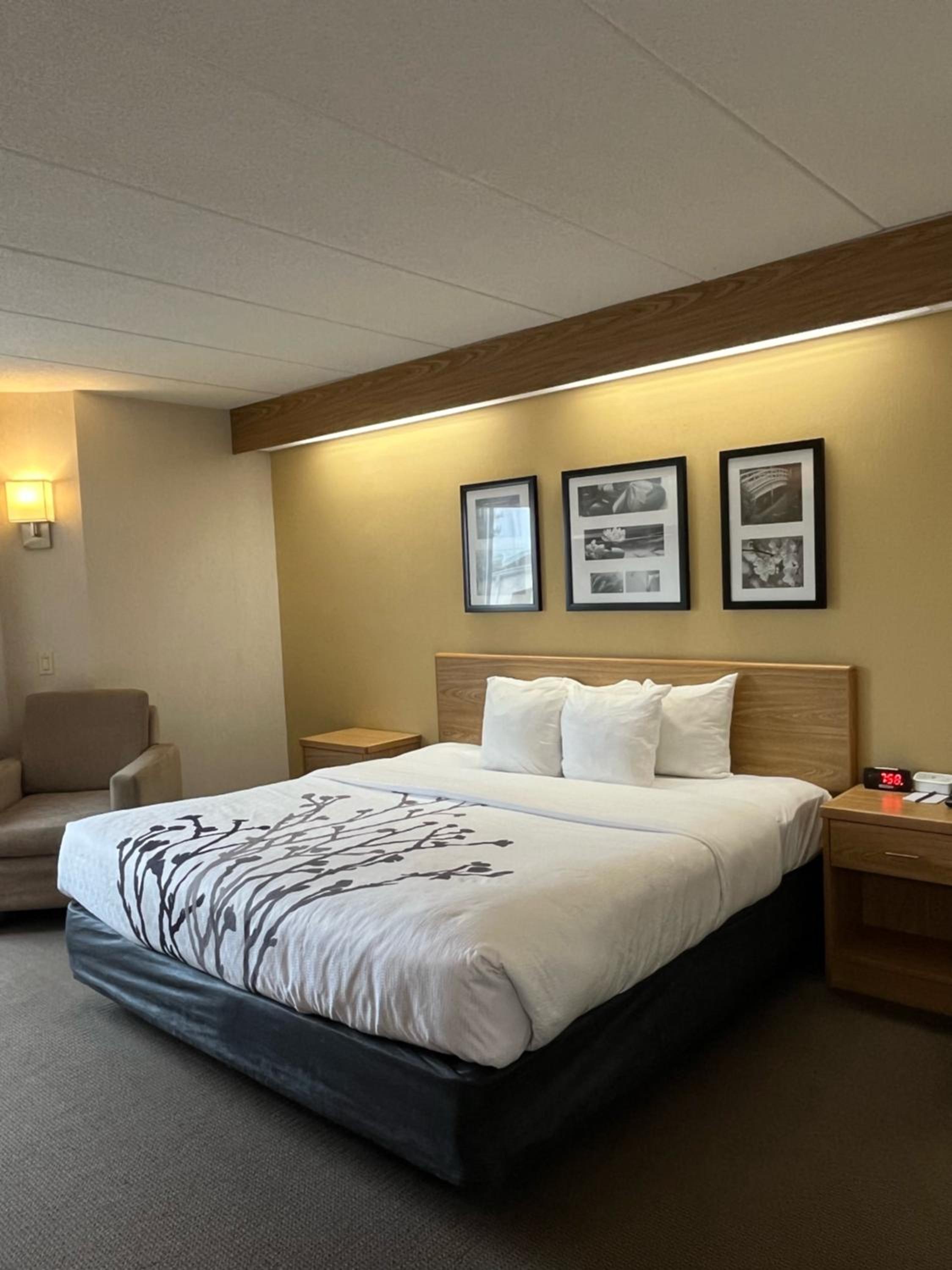 King Room - Photo 1