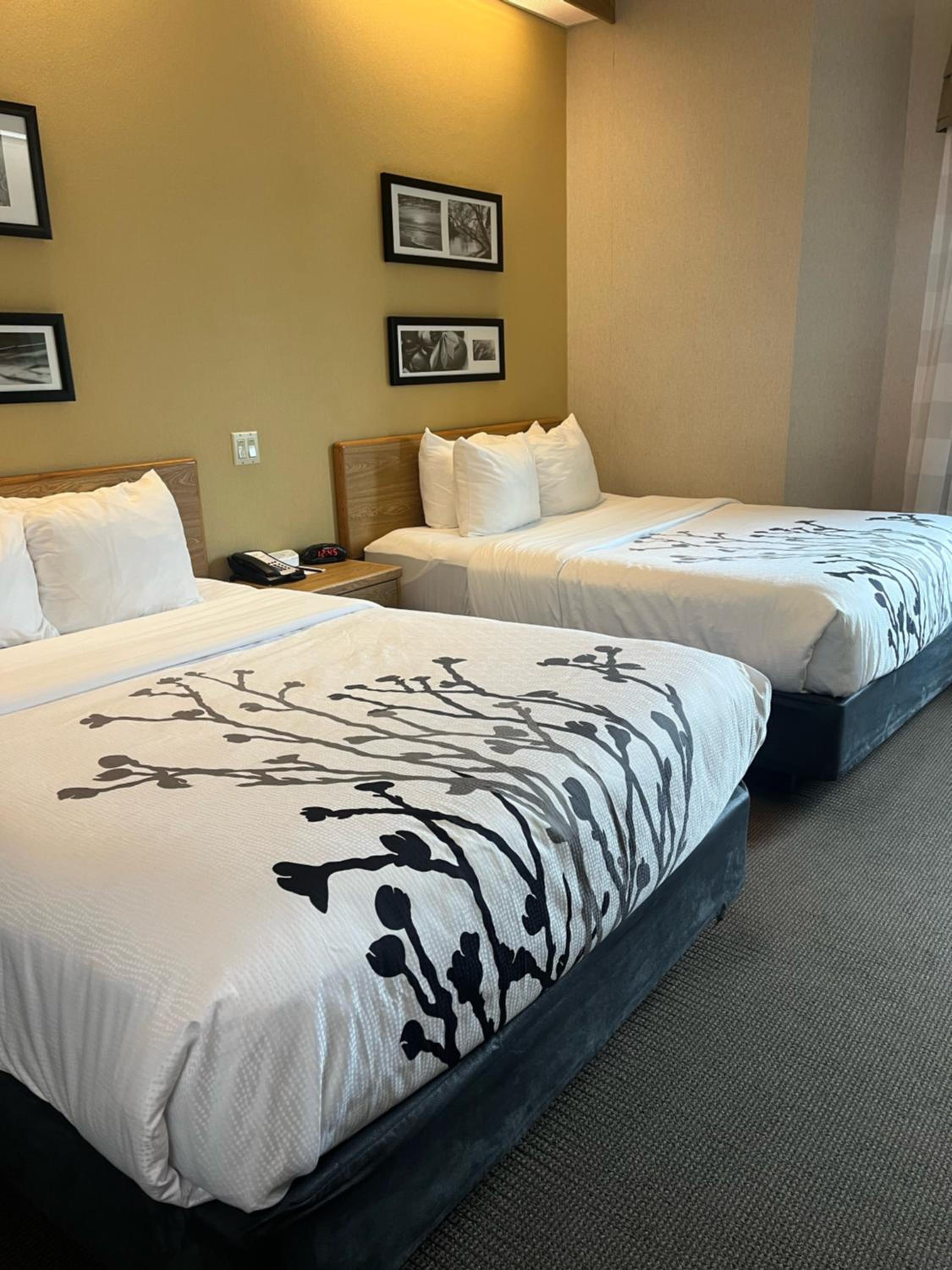 Queen Room With Two Queen Beds photo 3
