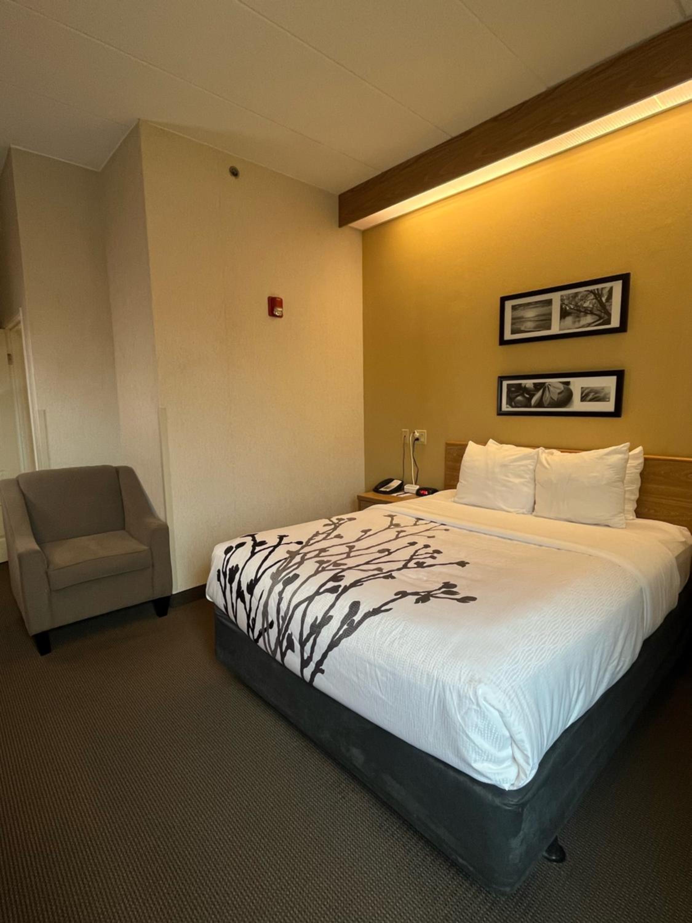 Queen Room - Accessible/Non-Smoking photo 2