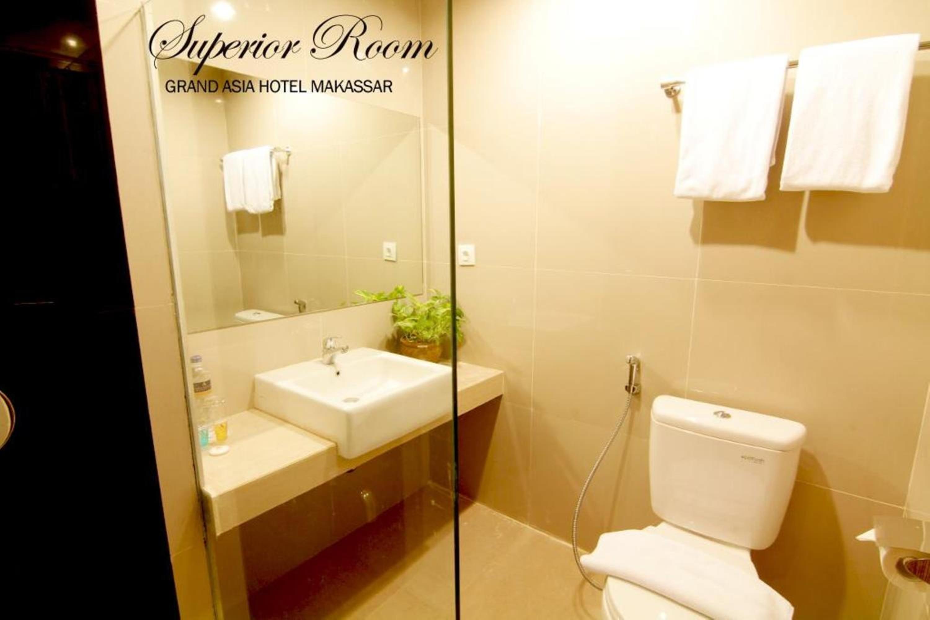 Superior Double or Twin Room photo 3