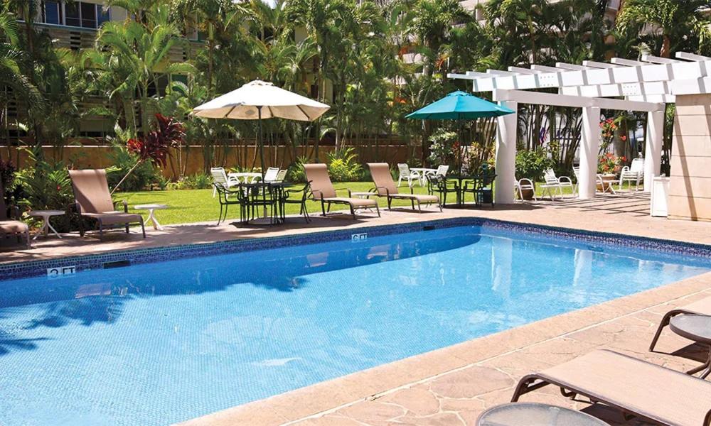 S&N Lux Suite-Free Parking-King Bed-Kitchen-WiFi: King Studio with Sofa Bed photo