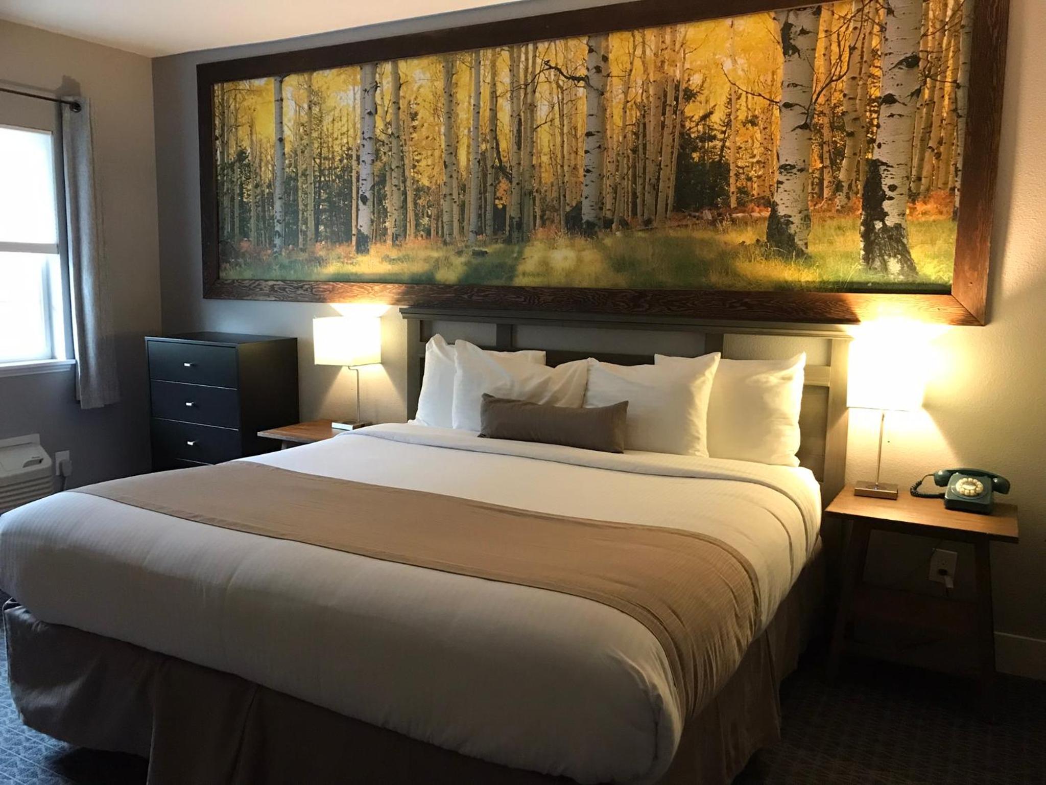 Deluxe King Room - Photo 2