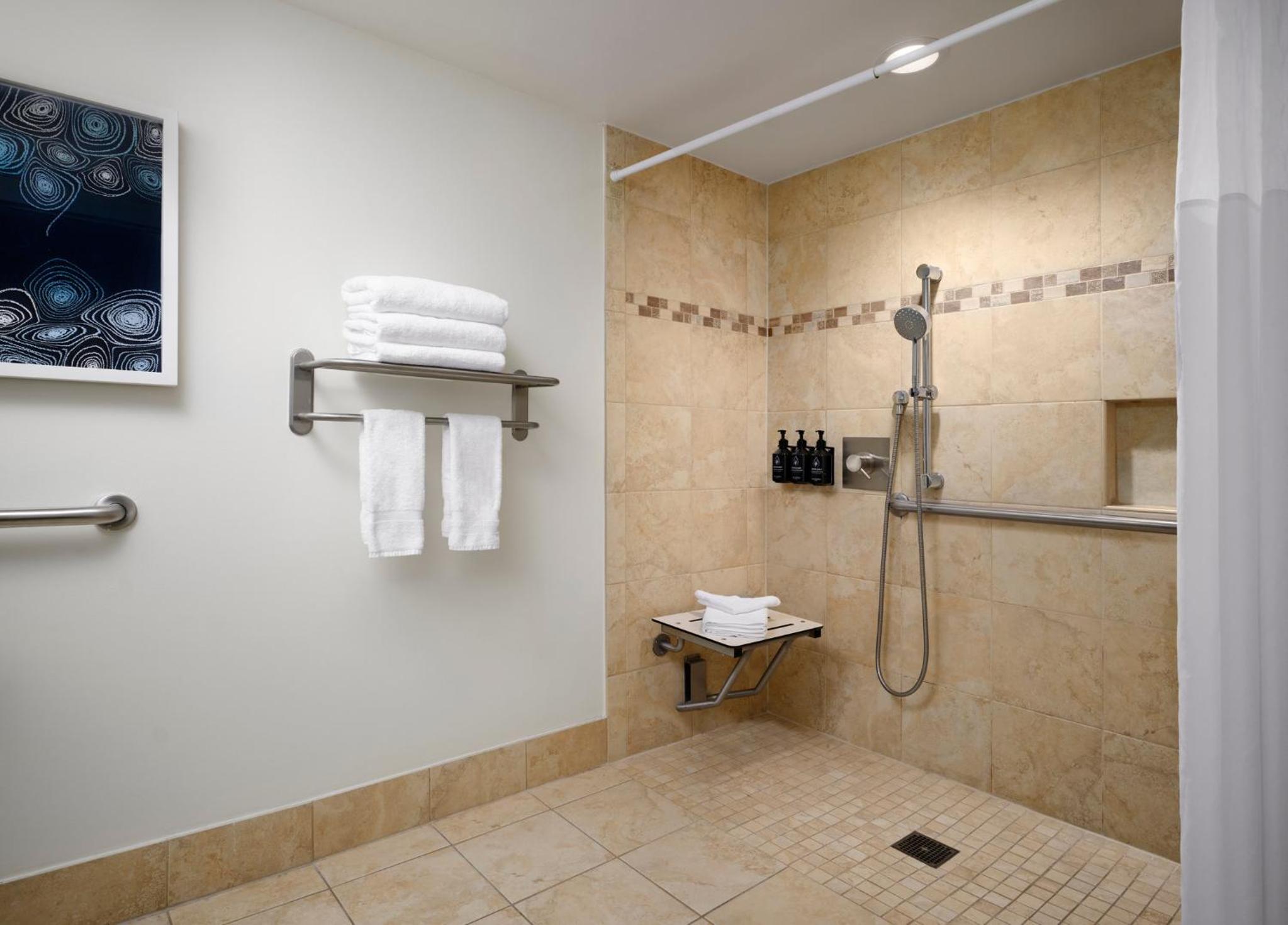 Standard King Room with Roll-In Shower - Communications Access - Photo 3
