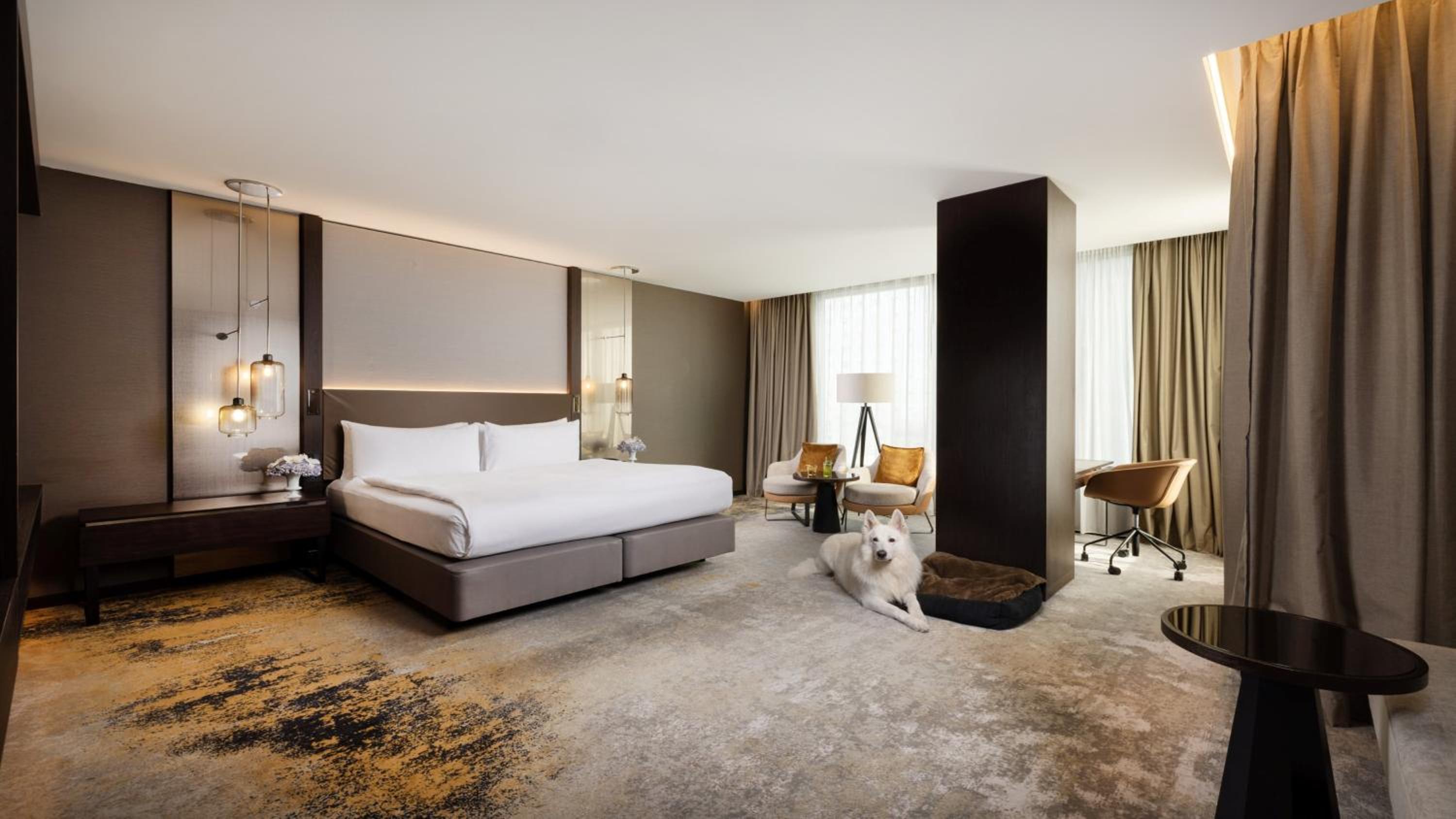 Premium King Room photo 3