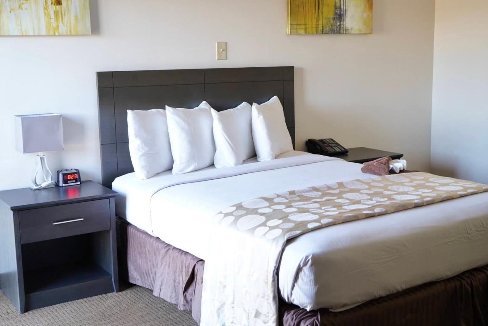 King Room - Two Adults Only - No elevator access photo 1