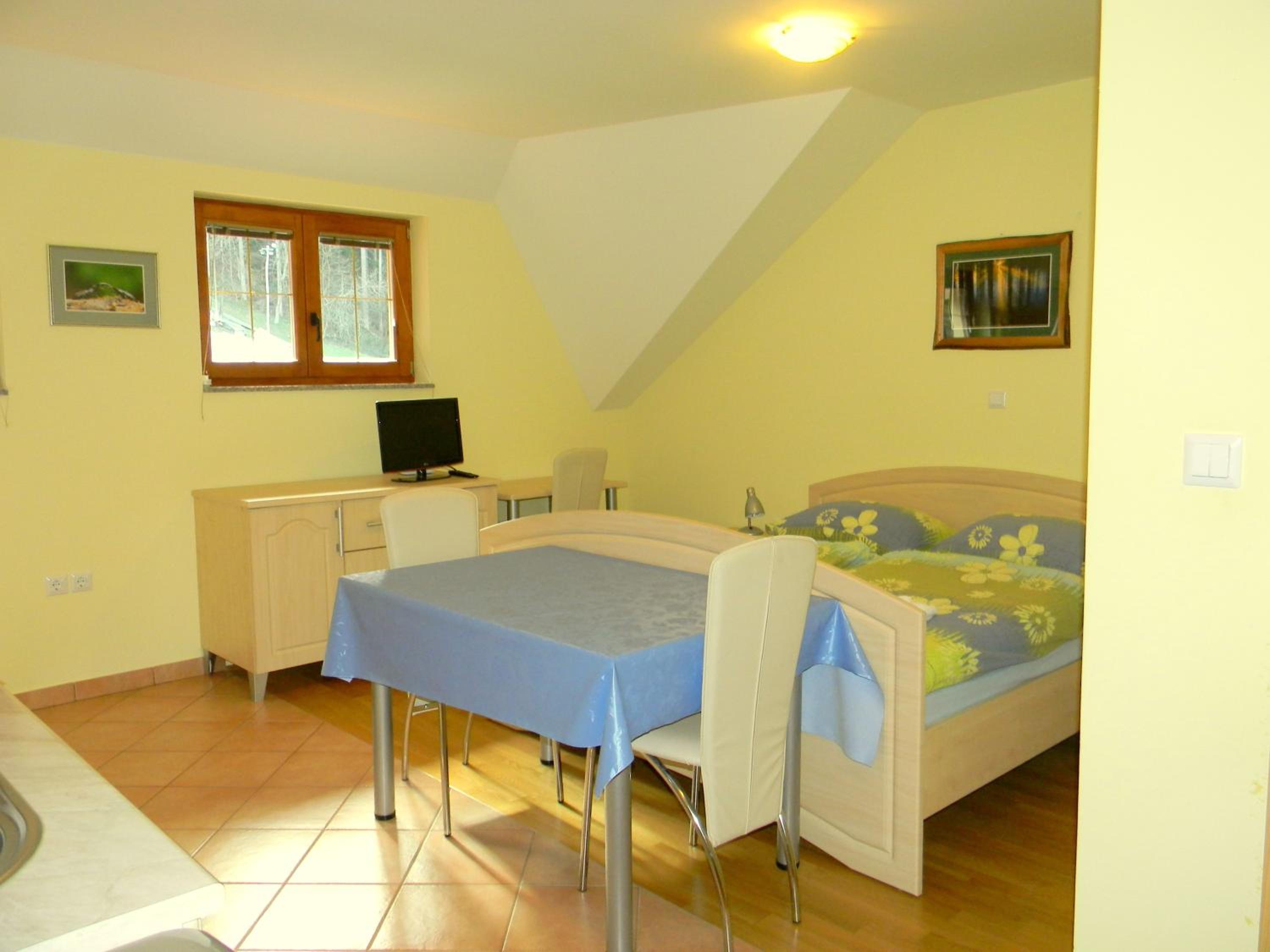 Family Studio photo 1