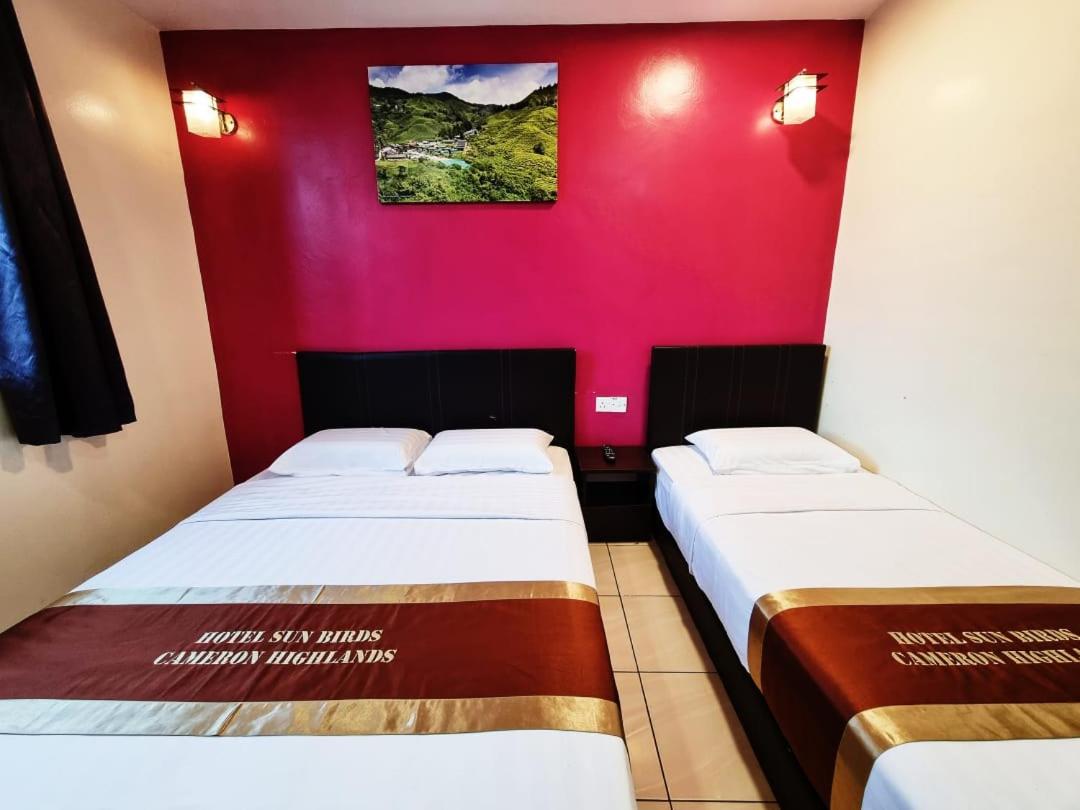 Triple Room - Photo 1