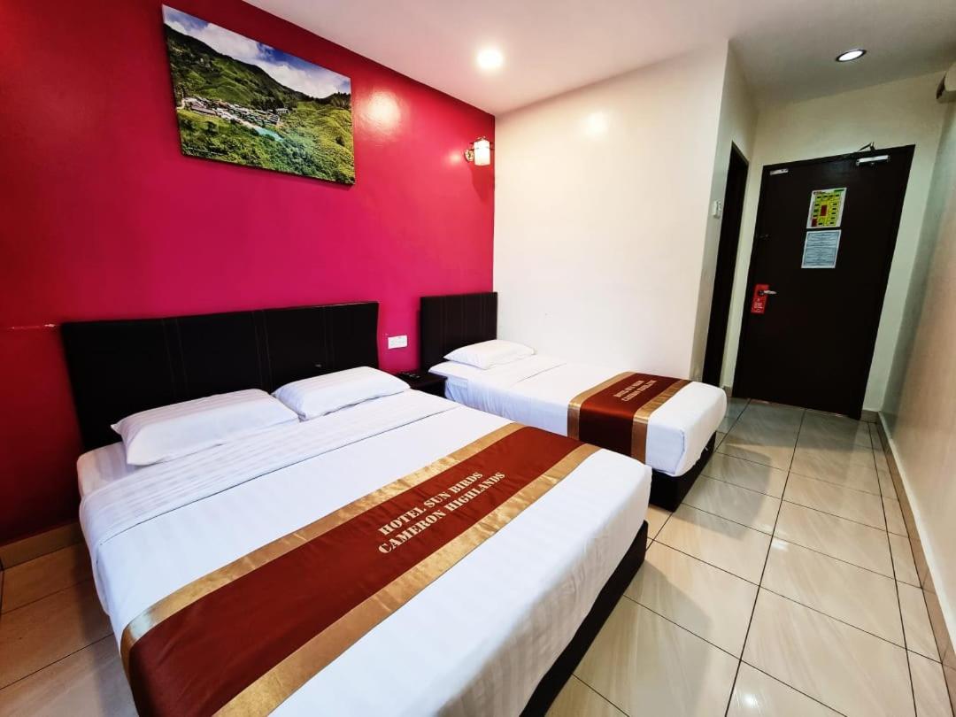 Triple Room - Photo 2