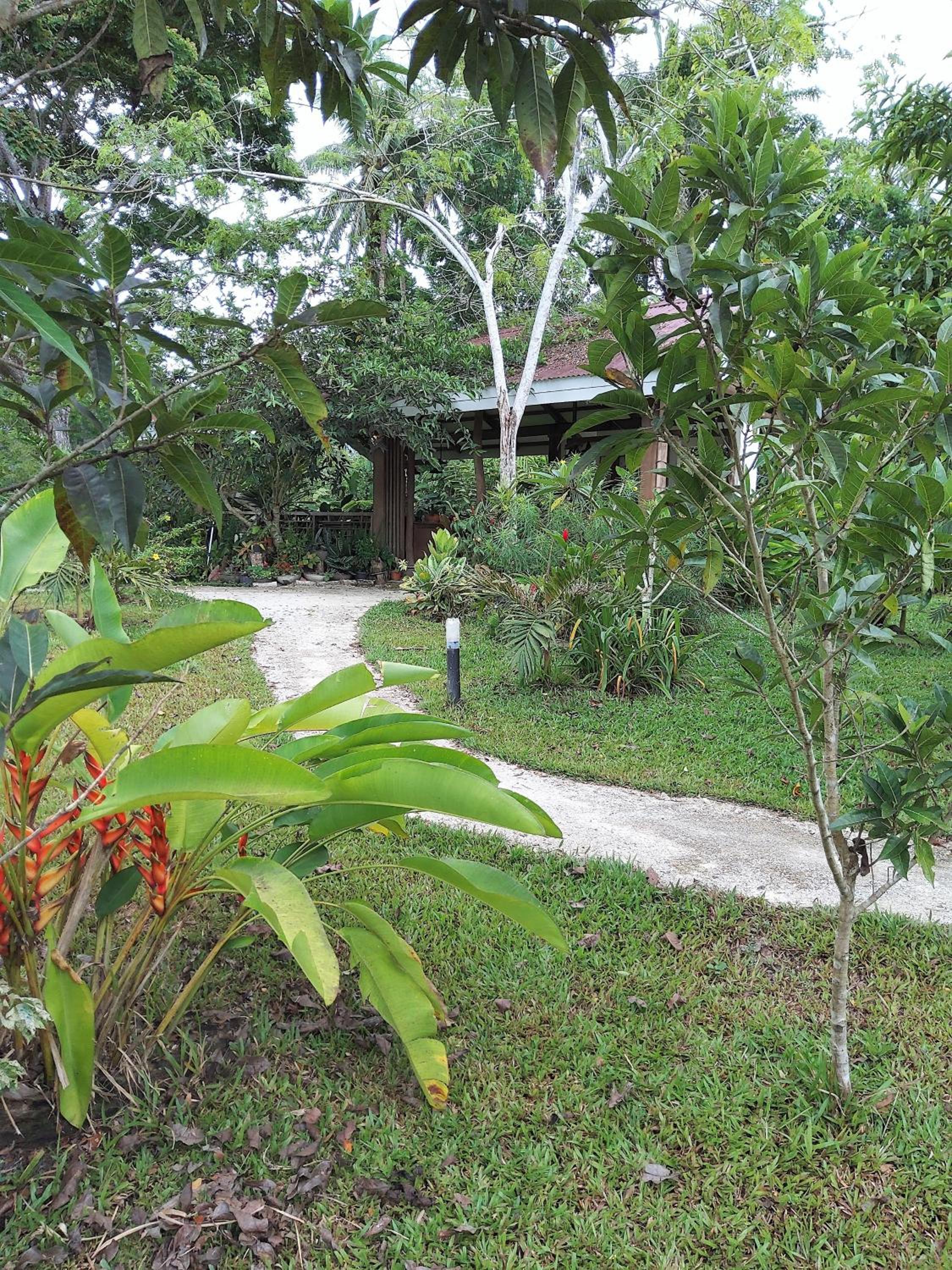 Double Room with Garden View photo 2