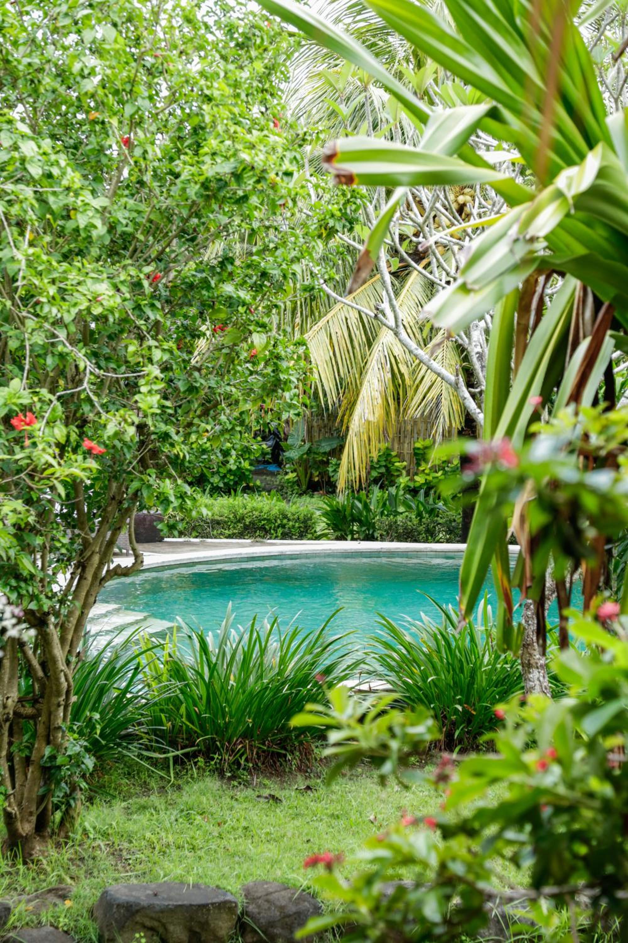 Double Room with Pool View photo 3