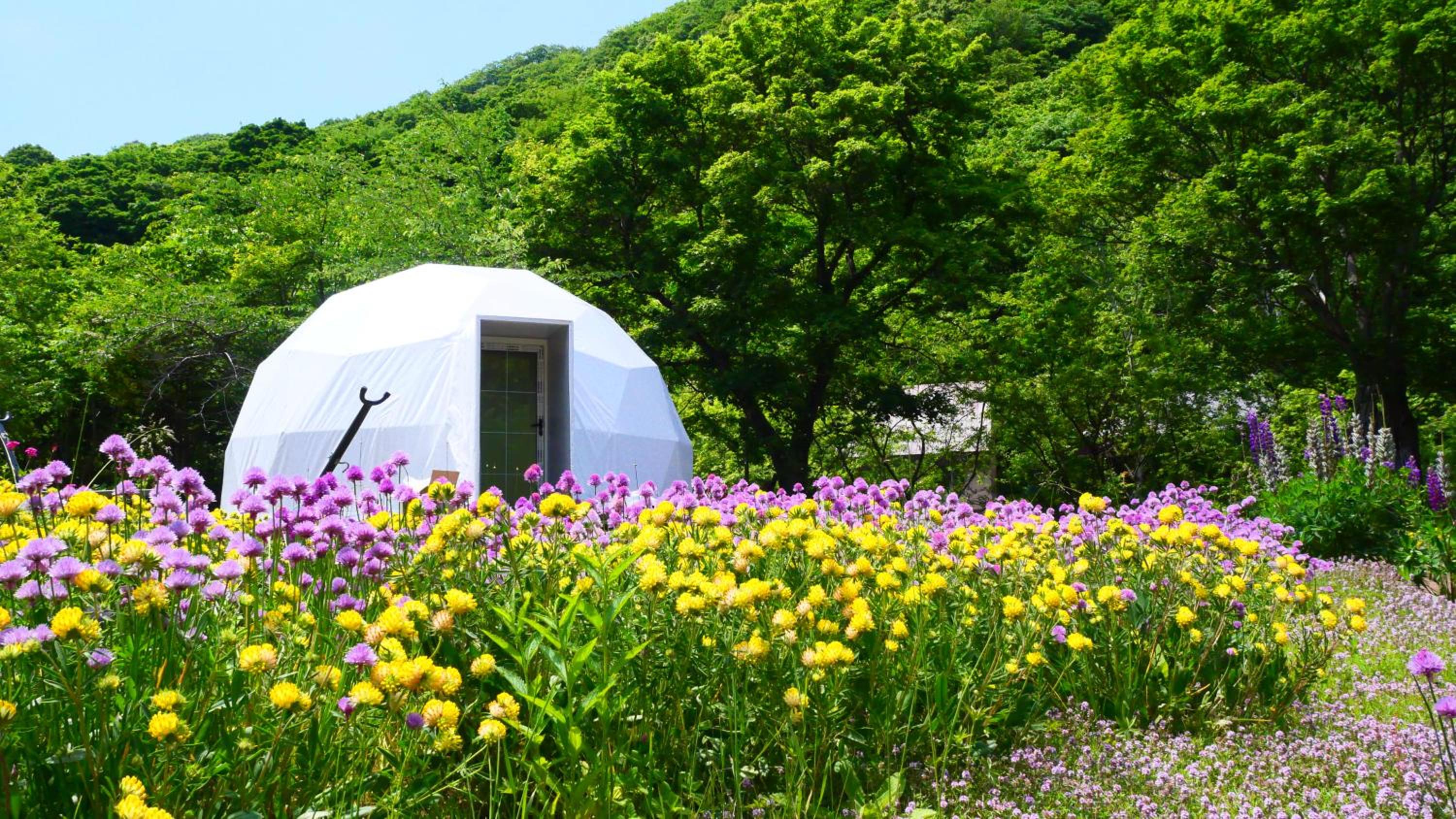 Center Glamping Dome photo 3