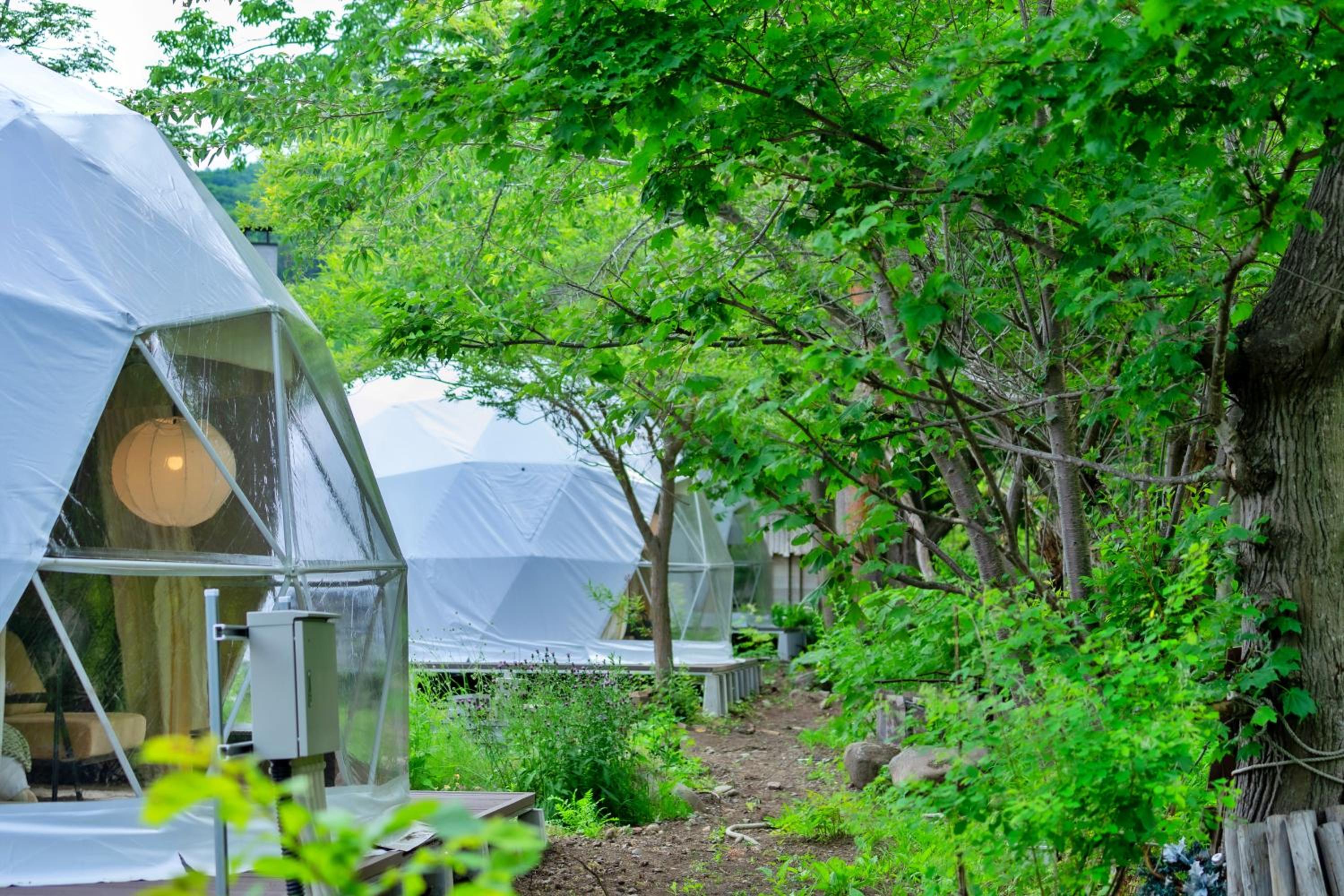 Left Side Glamping Dome photo 2