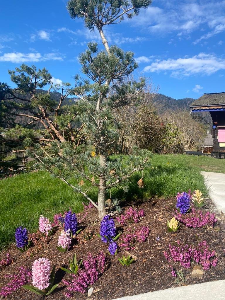 Small Chalet - Photo 43