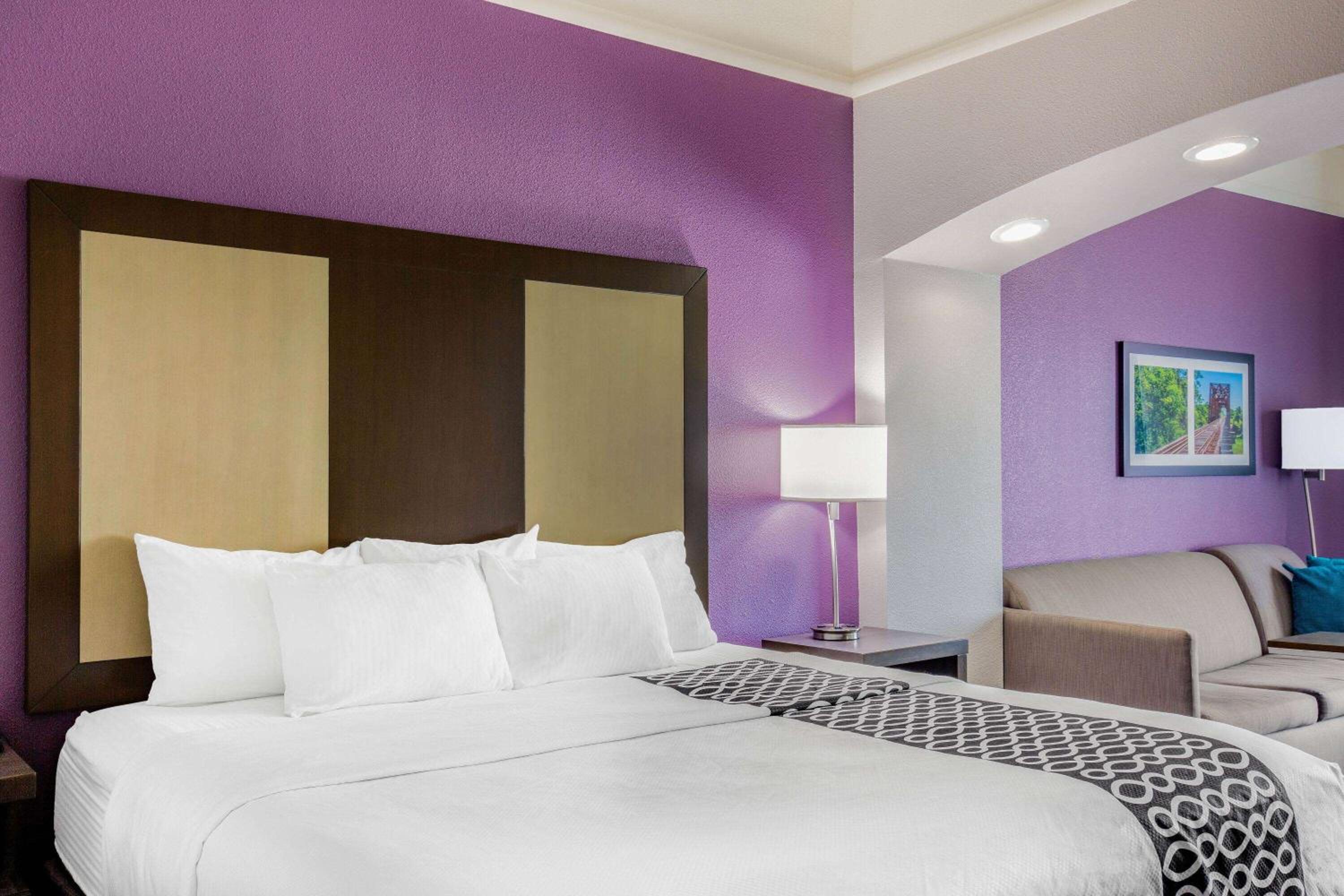 Deluxe King Suite - Photo 7