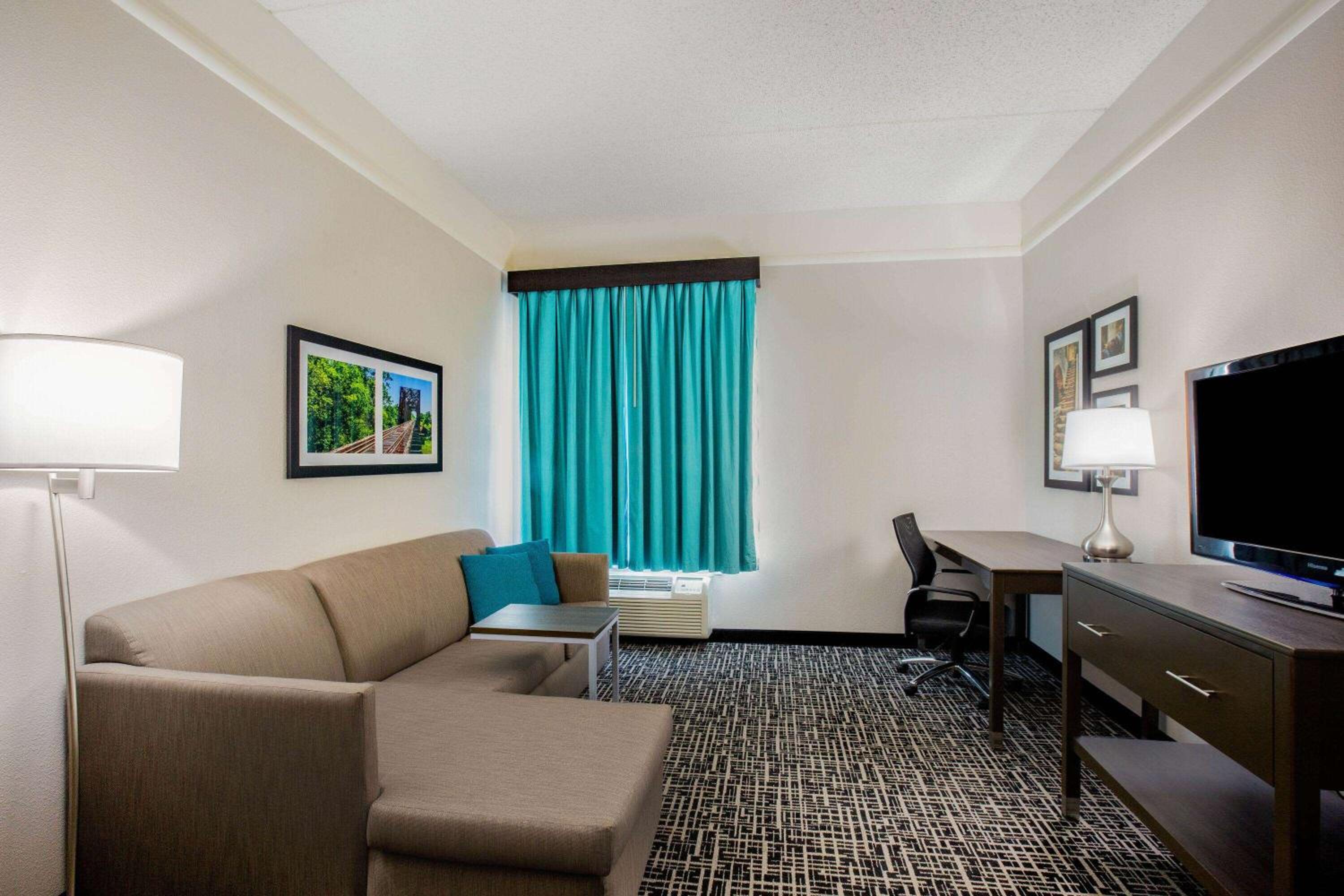 Deluxe Family King Suite with Bathtub and Grab Bars - Mobility Accessible/Non-Smoking - Photo 10