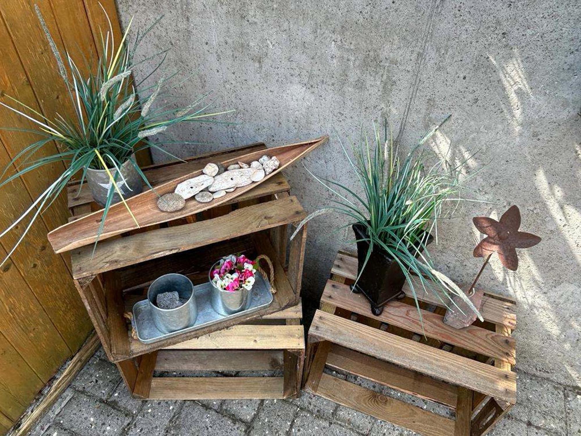Apartment with Terrace photo 3