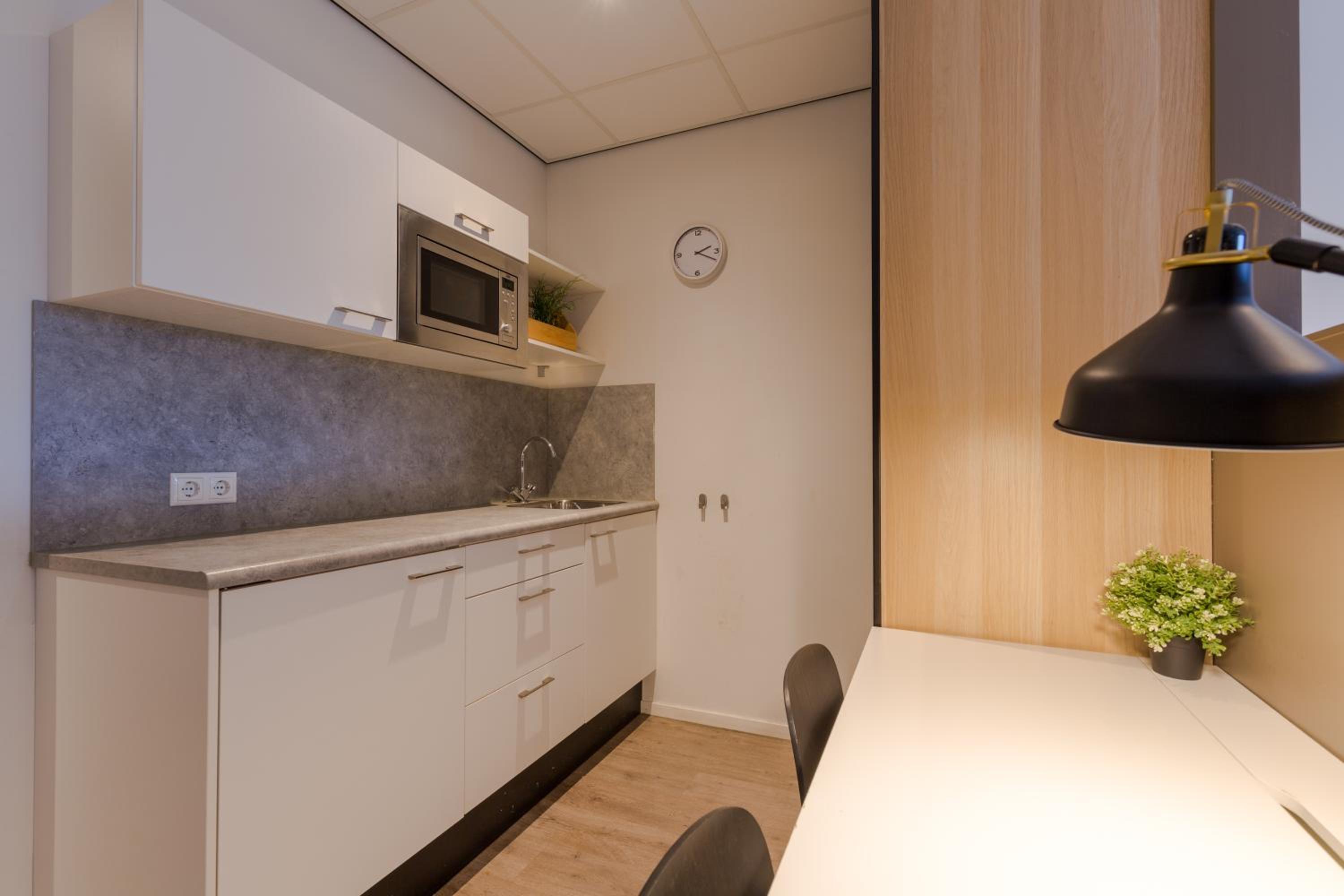 Studio (30m2) photo 3