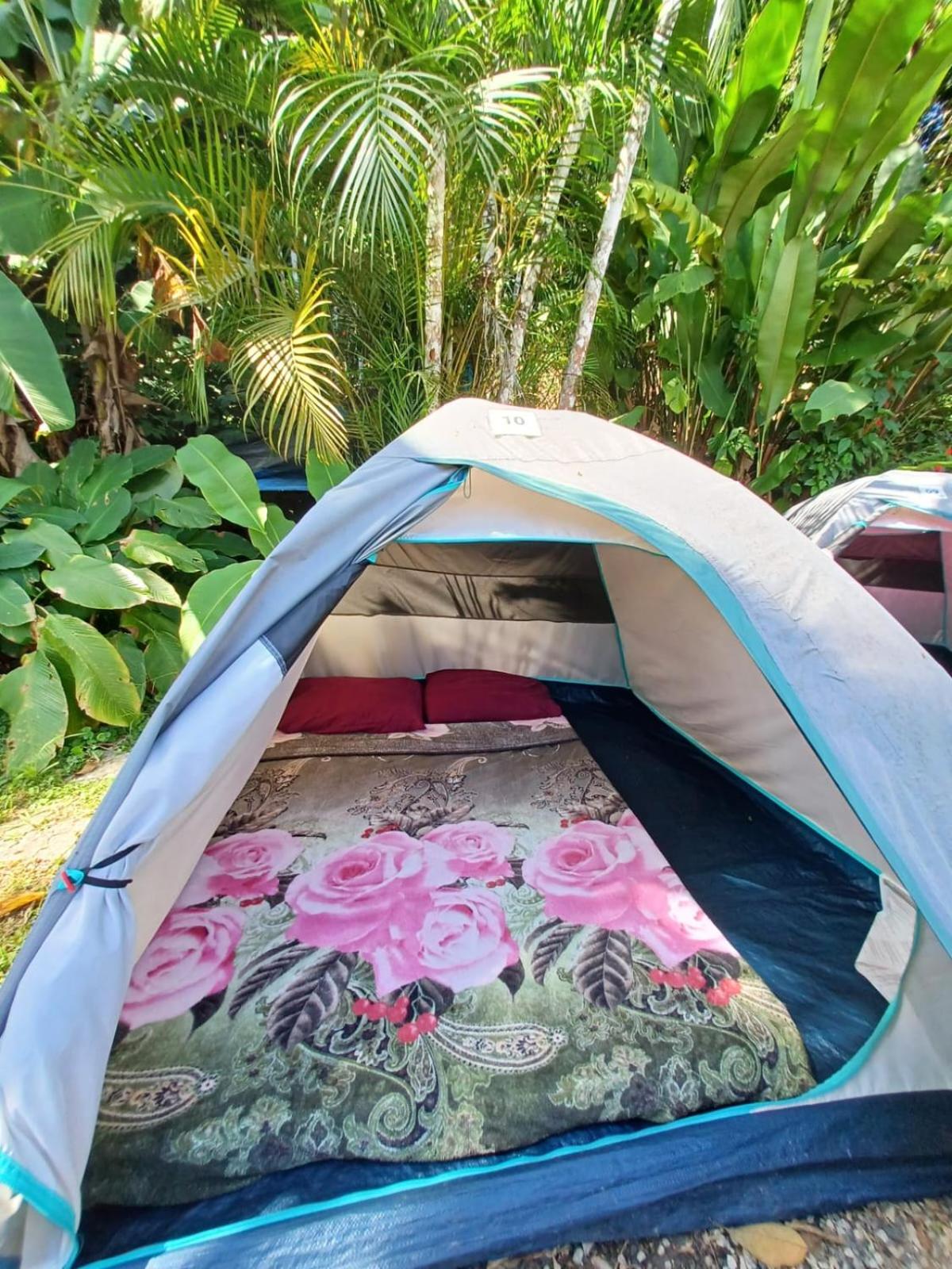 Tent - Photo 3