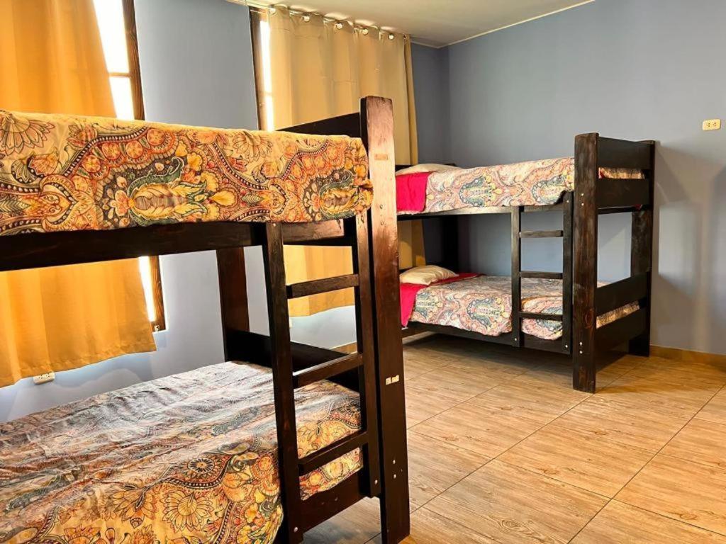 Bed in 6-Bed Mixed Dormitory Room photo 3