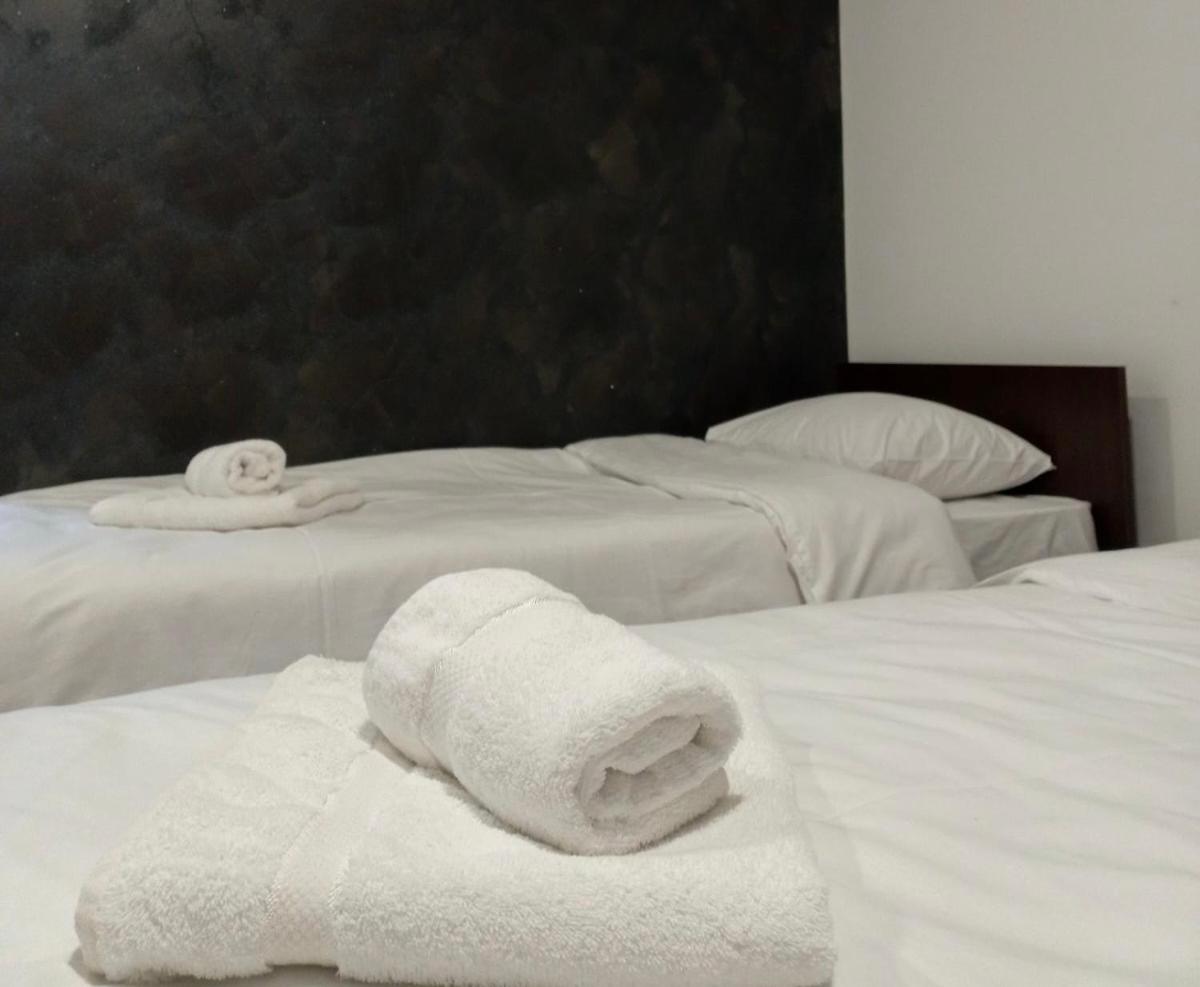 Twin Room photo 3