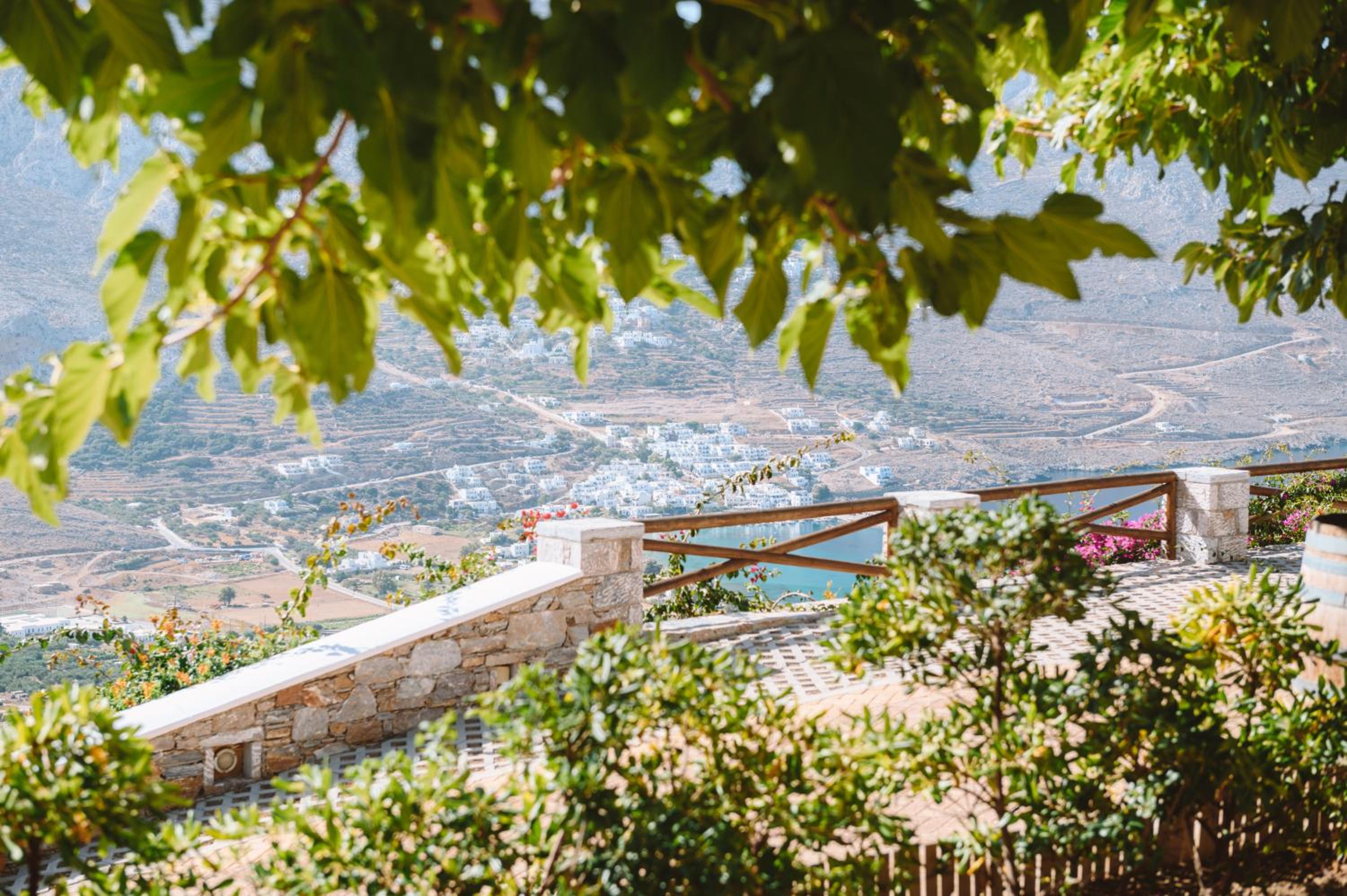 Villa Tholaroussa photo 2