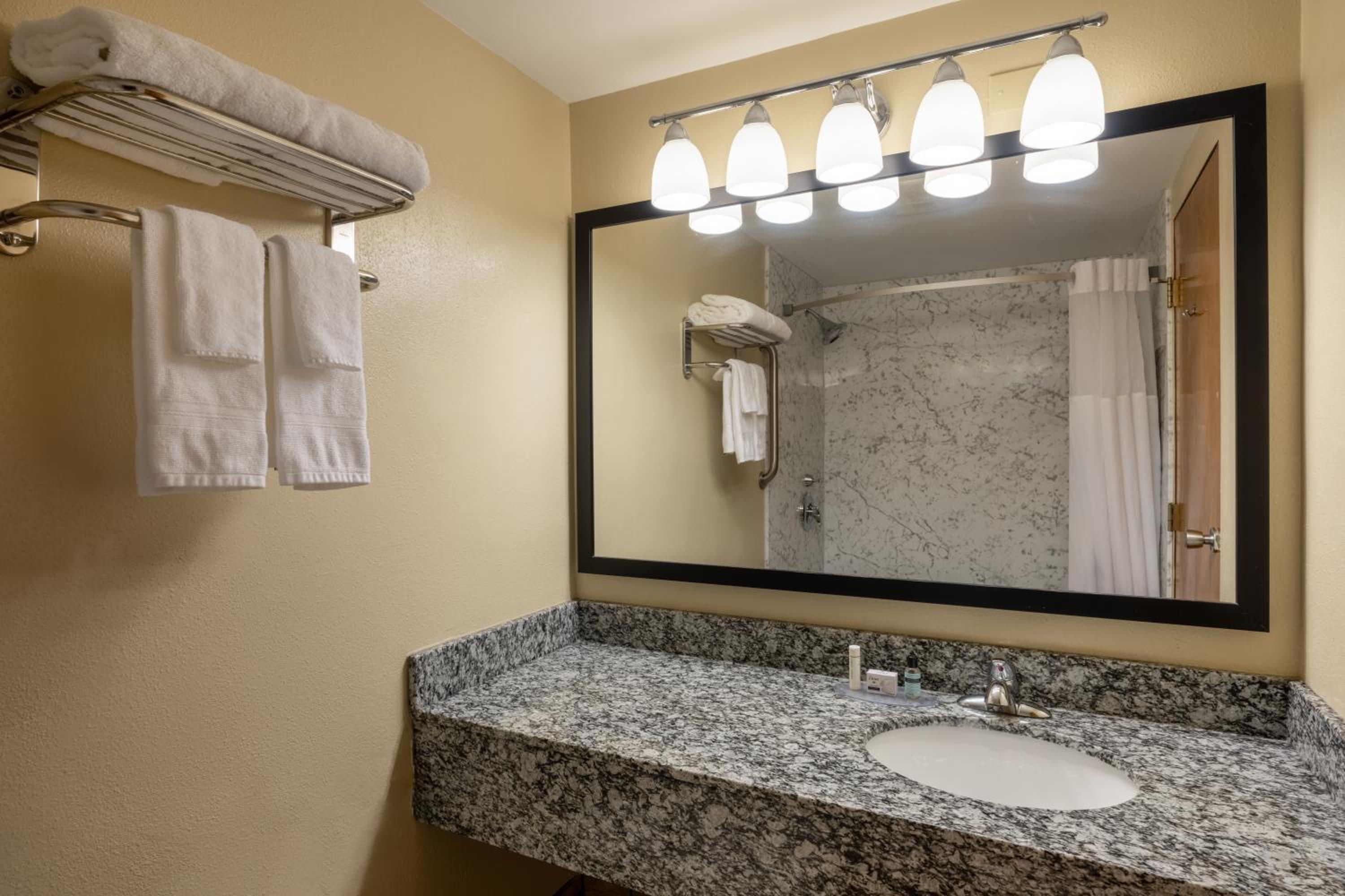 1 King Bed, Mobility Accessible Room, Roll-In Shower, Non-Smoking - Photo 4