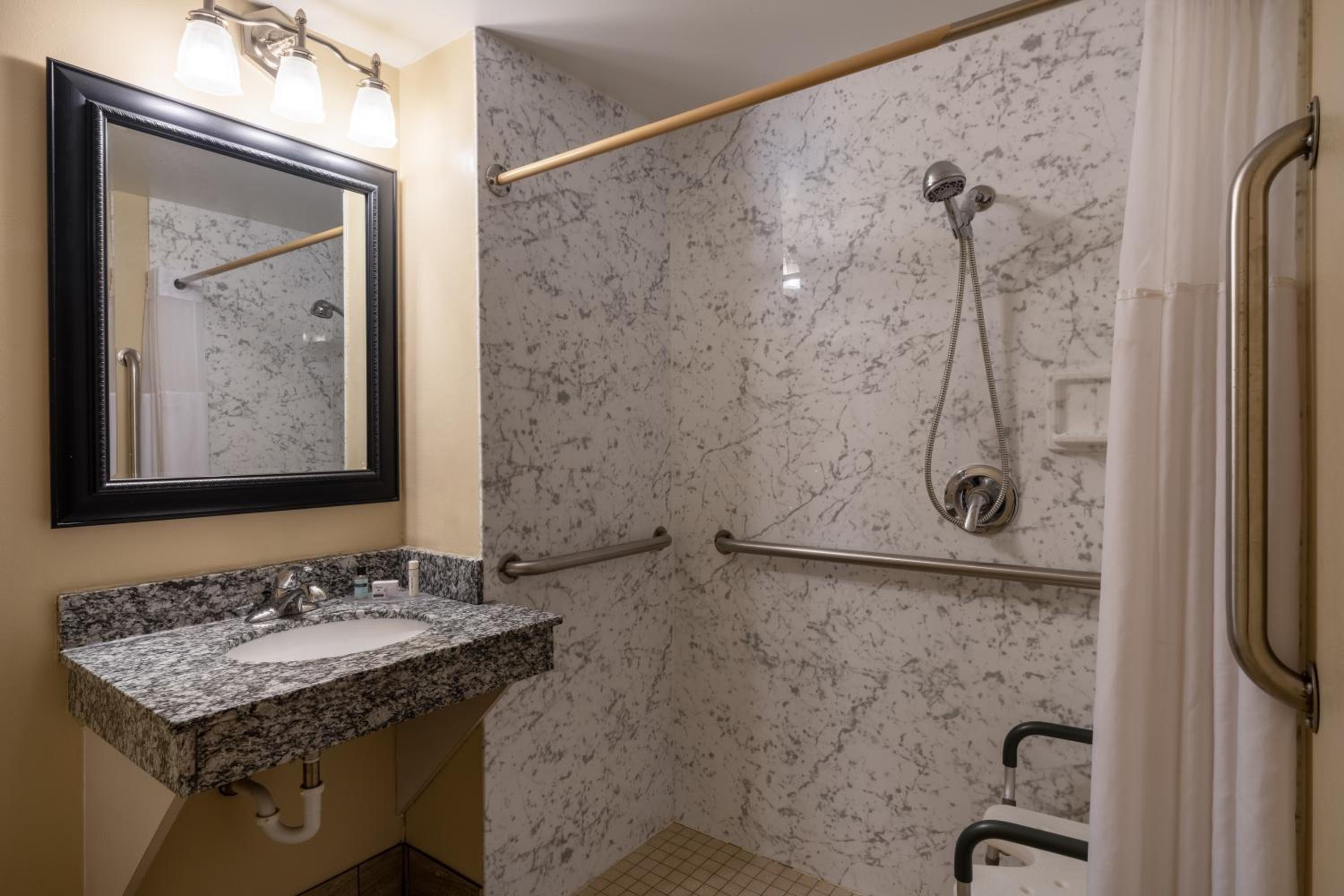 1 King Bed, Mobility Accessible Room, Roll-In Shower, Non-Smoking - Photo 3