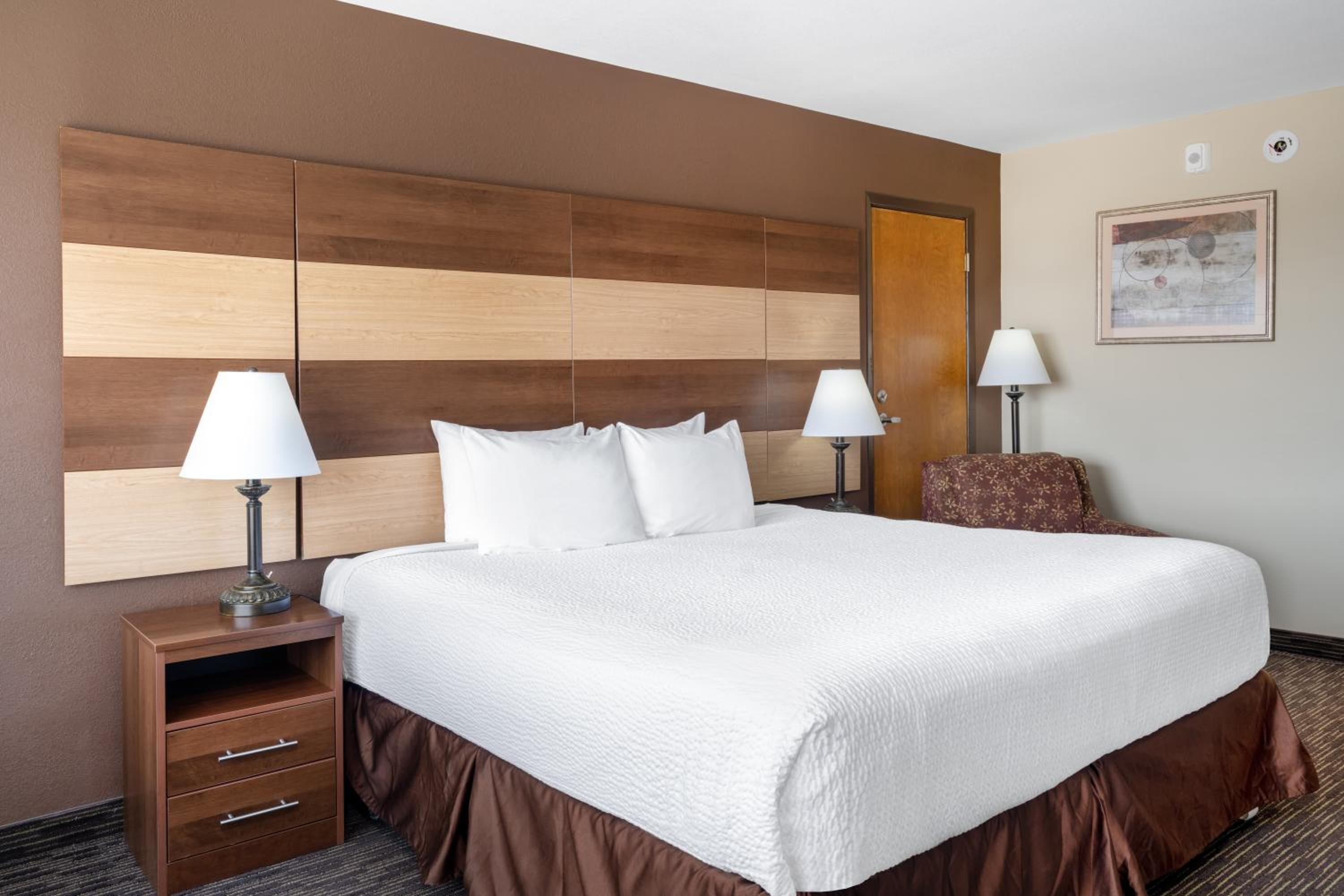 1 King Bed, Mobility Accessible Room, Roll-In Shower, Non-Smoking - Photo 6
