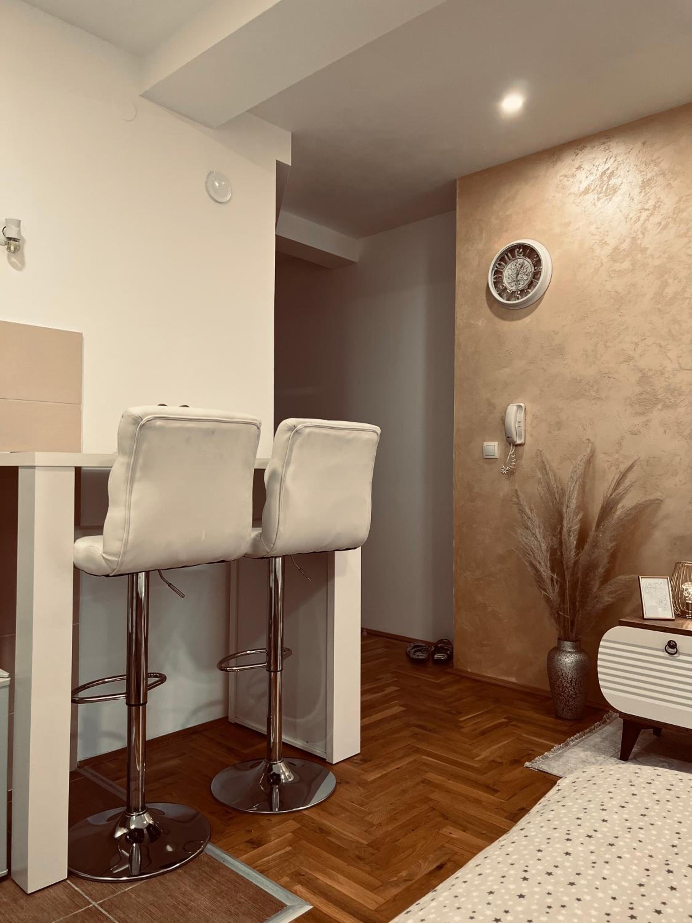 Studio Apartment photo 2