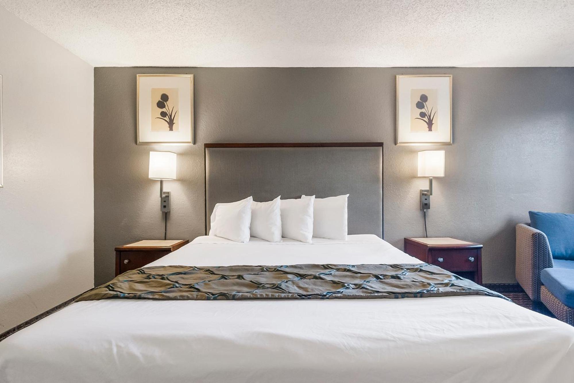 King Room - Photo 1