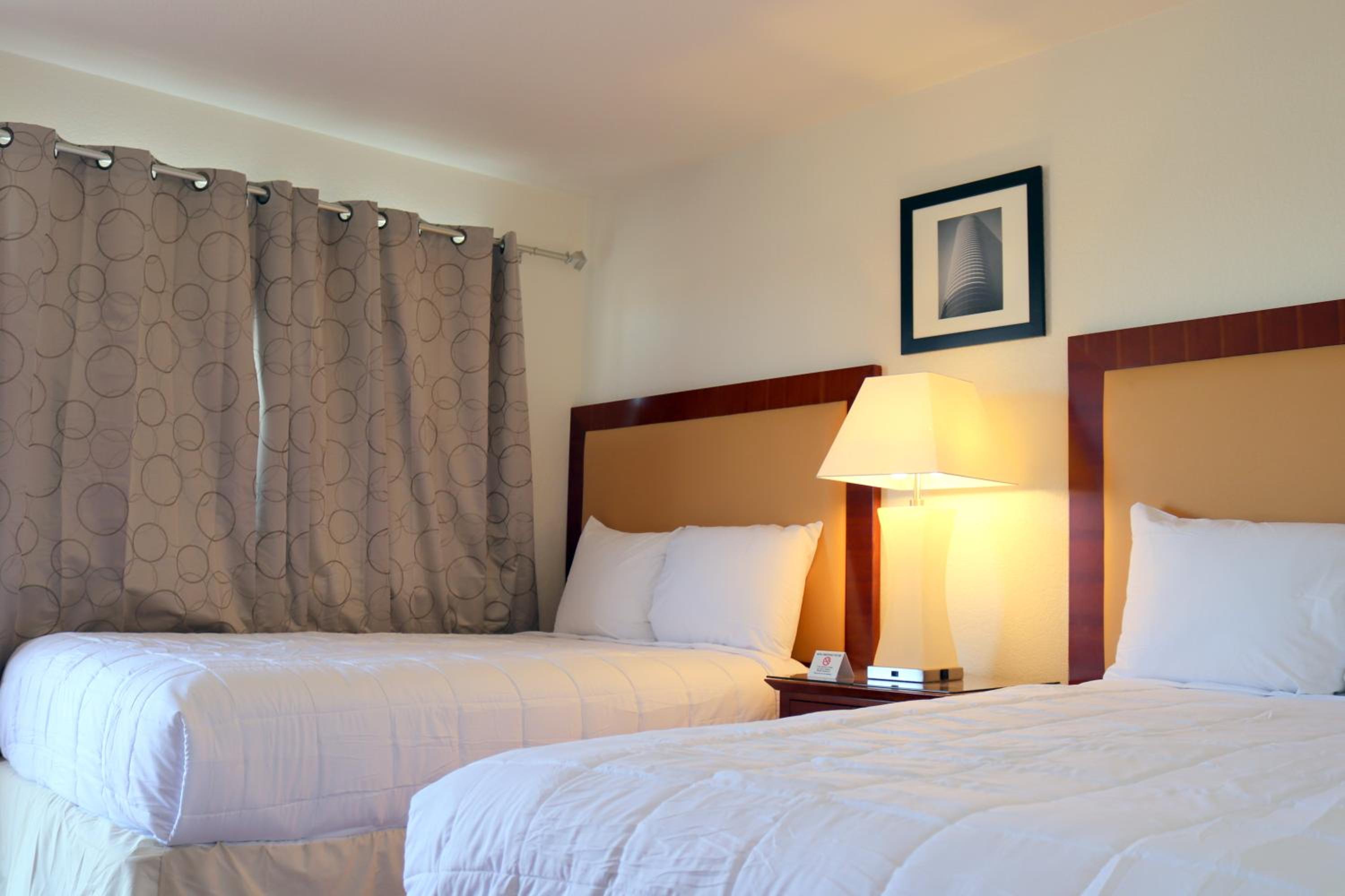 Deluxe Suite photo 3
