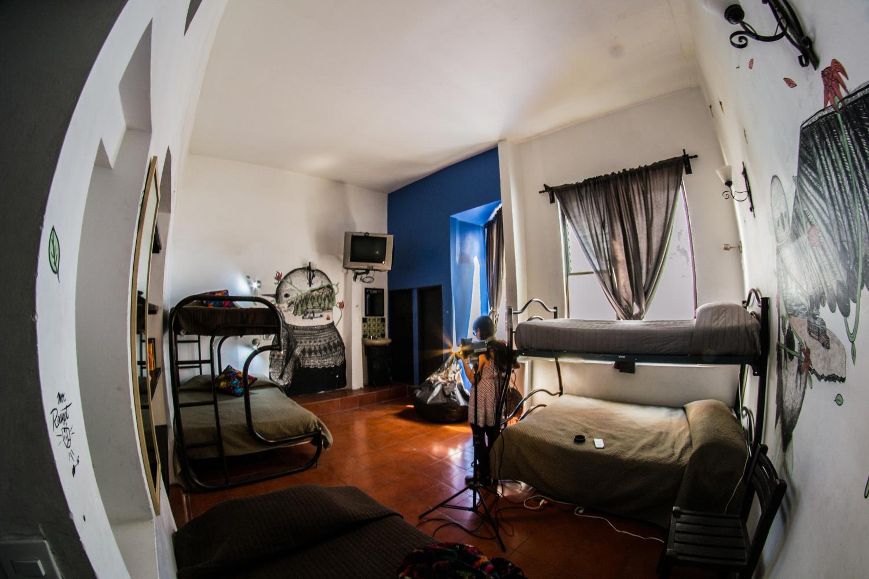 Bed in 4-Bed Mixed Dormitory Room photo 3