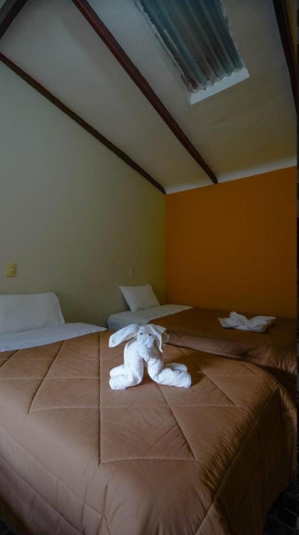 Triple Room photo 2