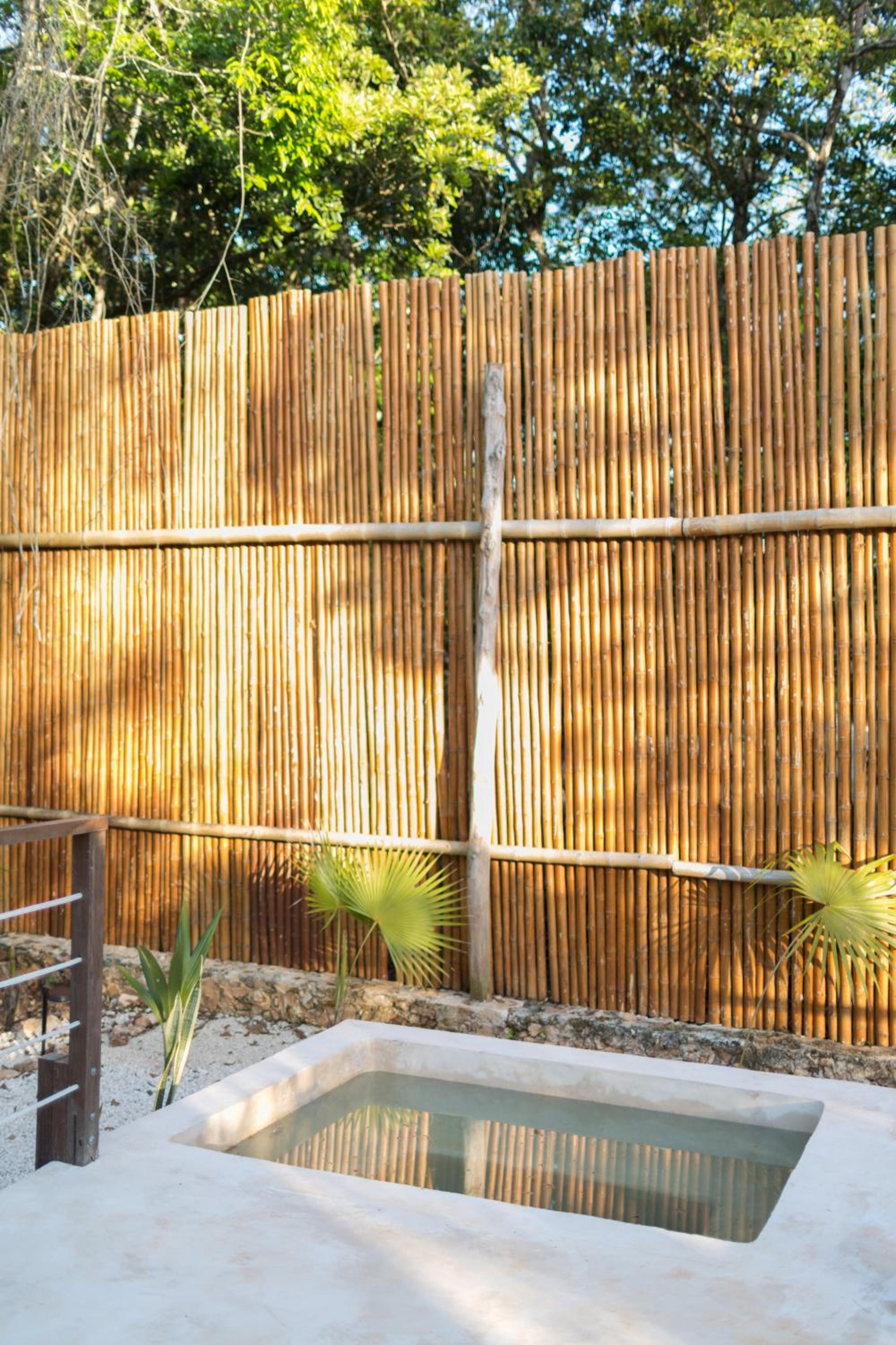 Suite with Private Pool photo 2