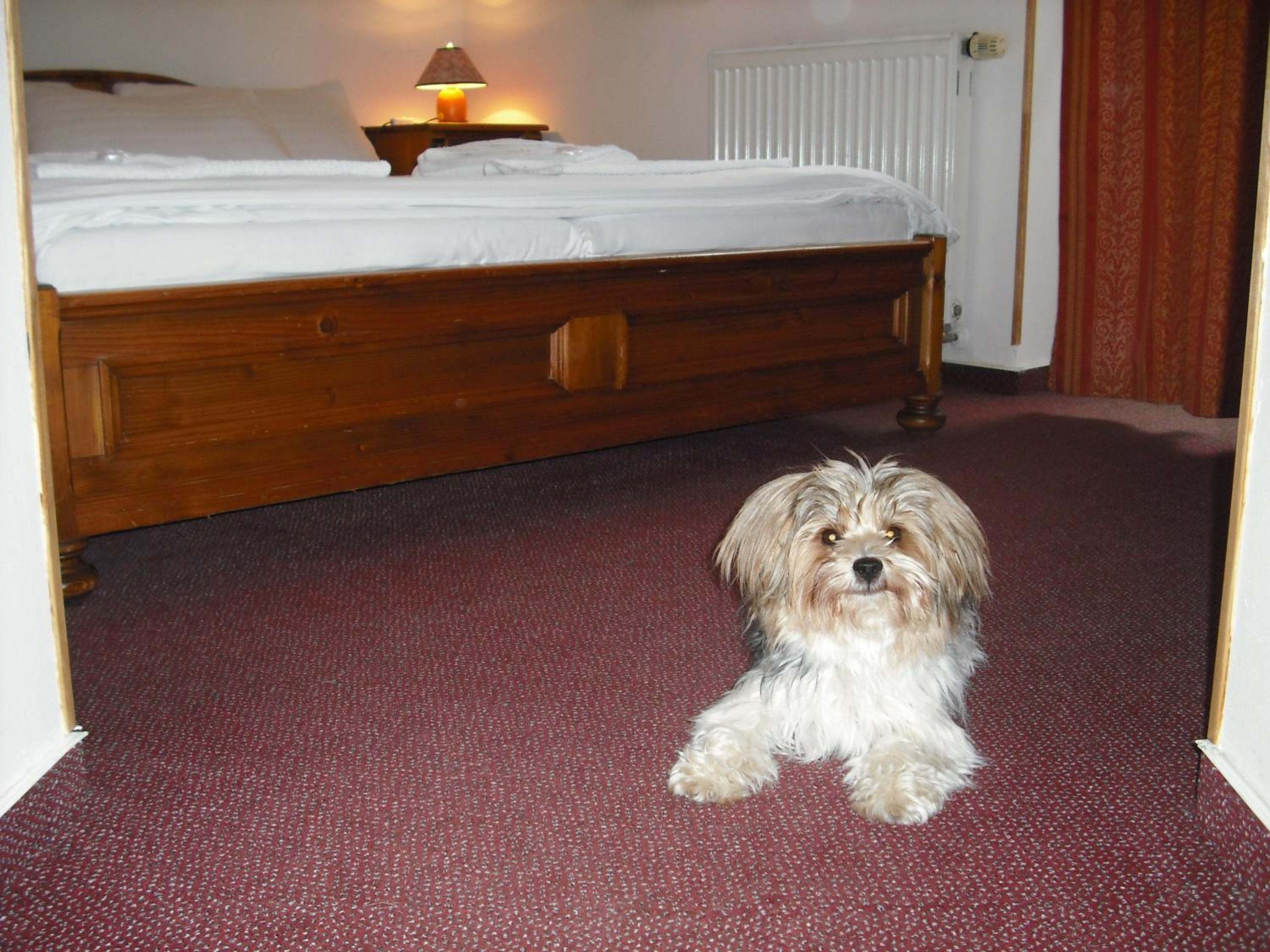 Double Room with Balcony - Photo 5