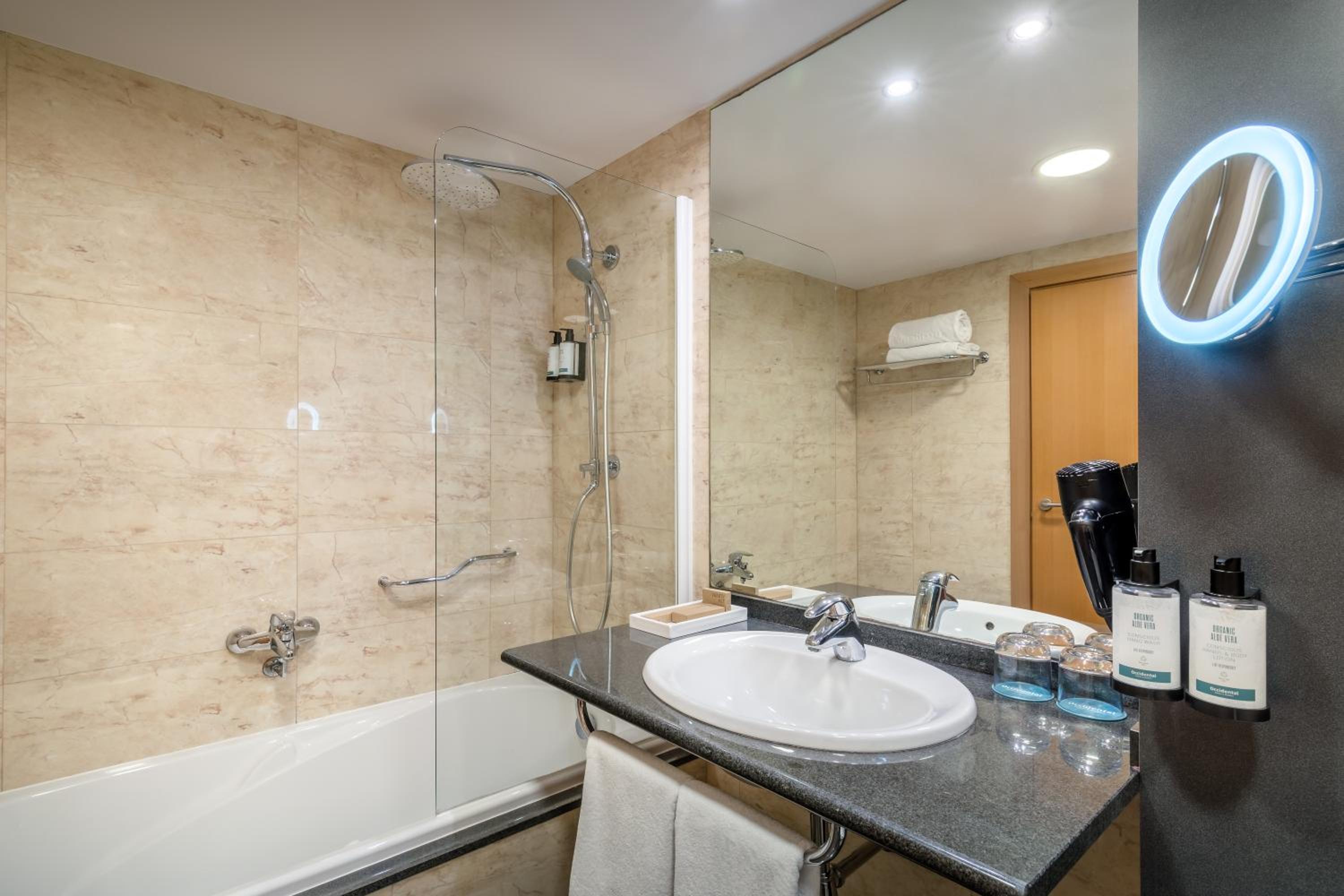 Deluxe Premium Double Room photo 3