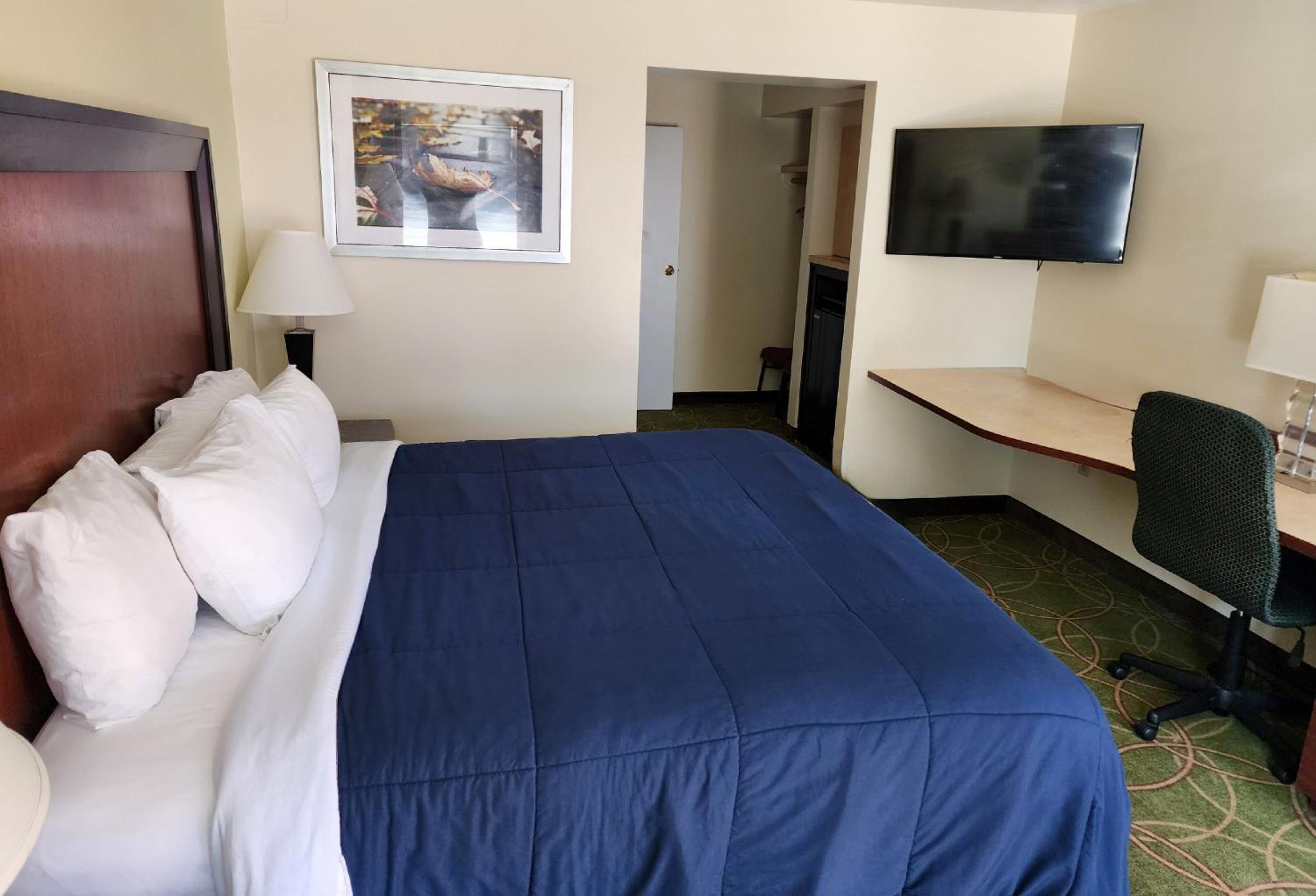 King Room with Twin Sofa Bed photo 2