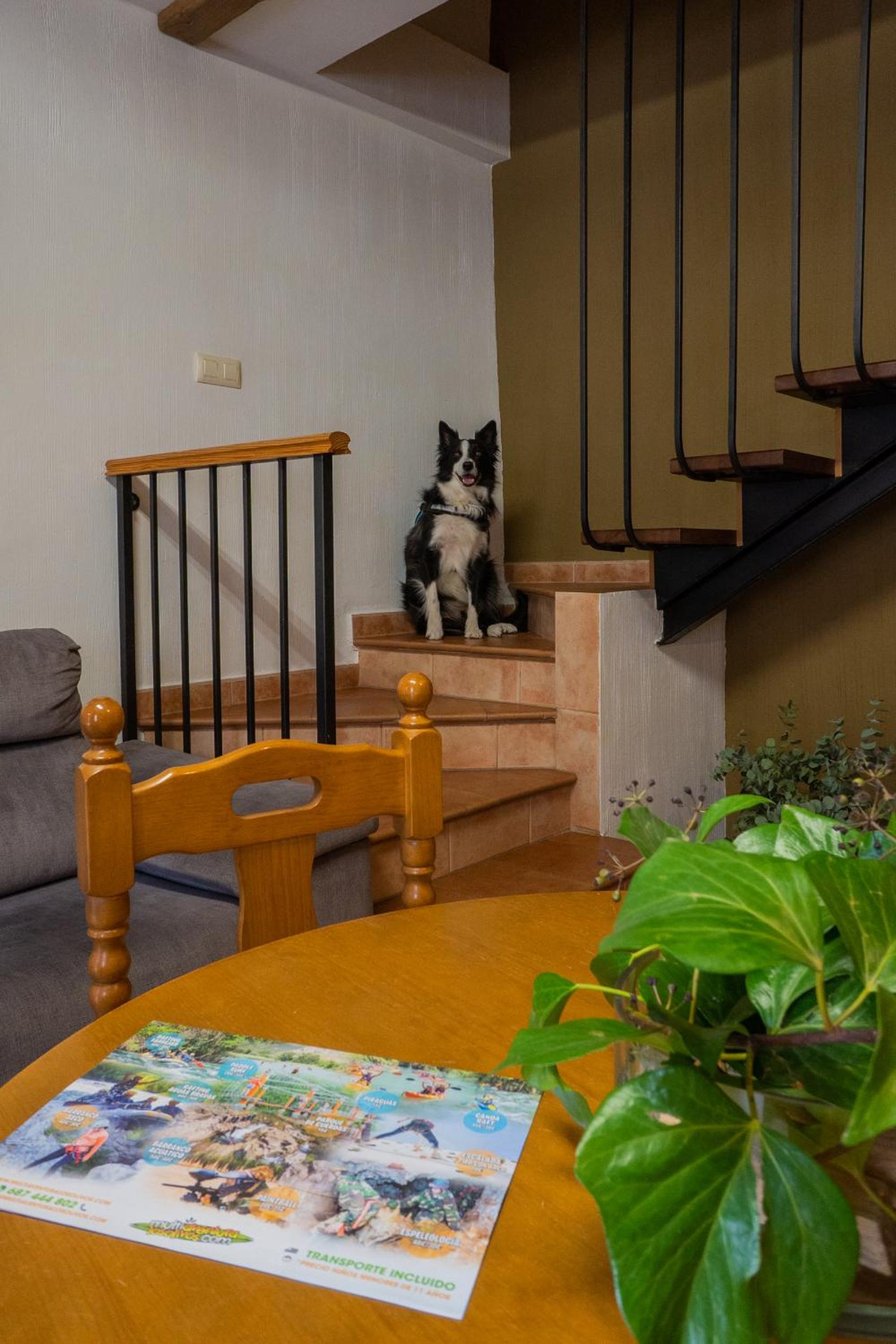 Duplex (2 Adults + 1 Child) - Photo 8