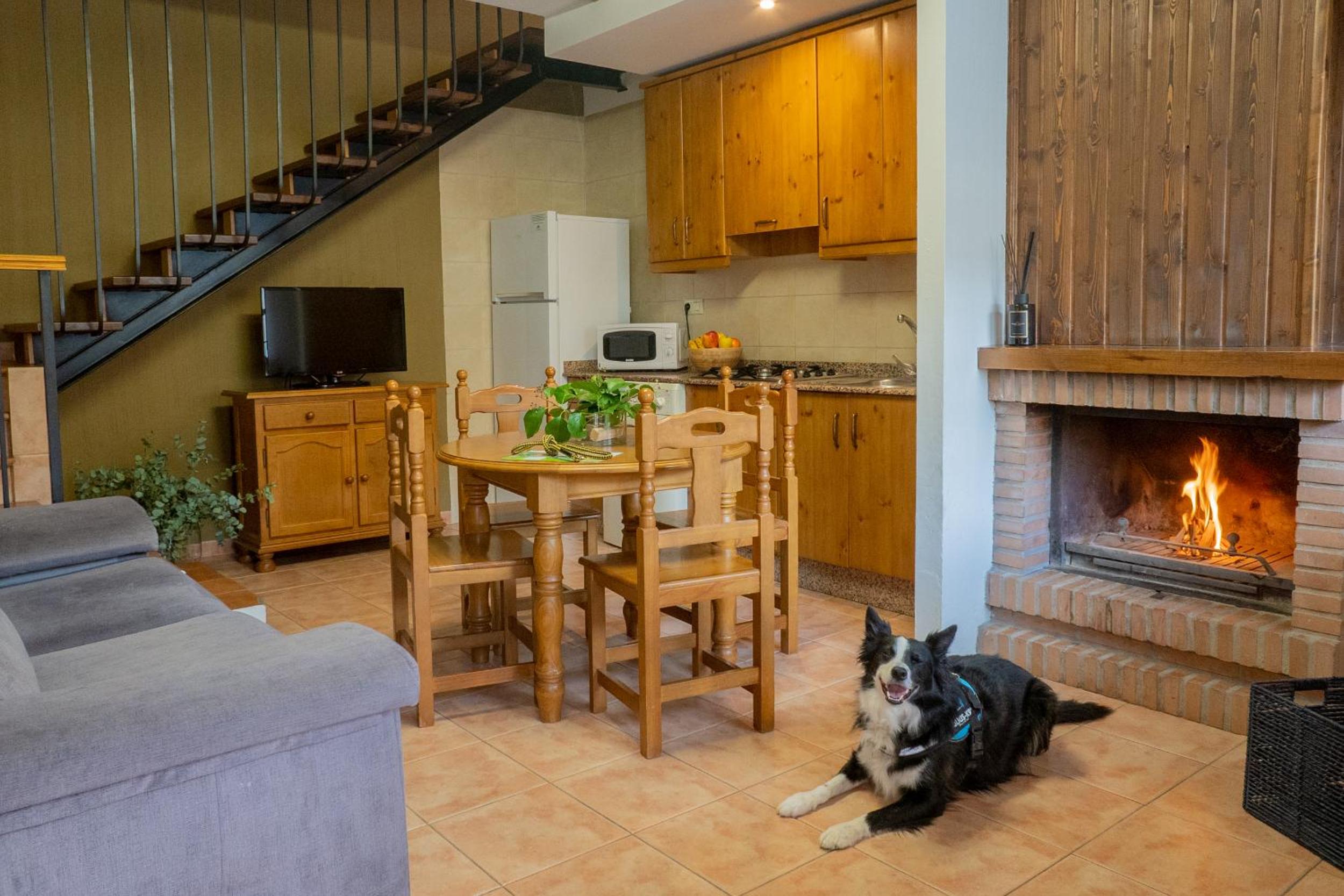 Duplex (2 Adults + 1 Child) - Photo 7