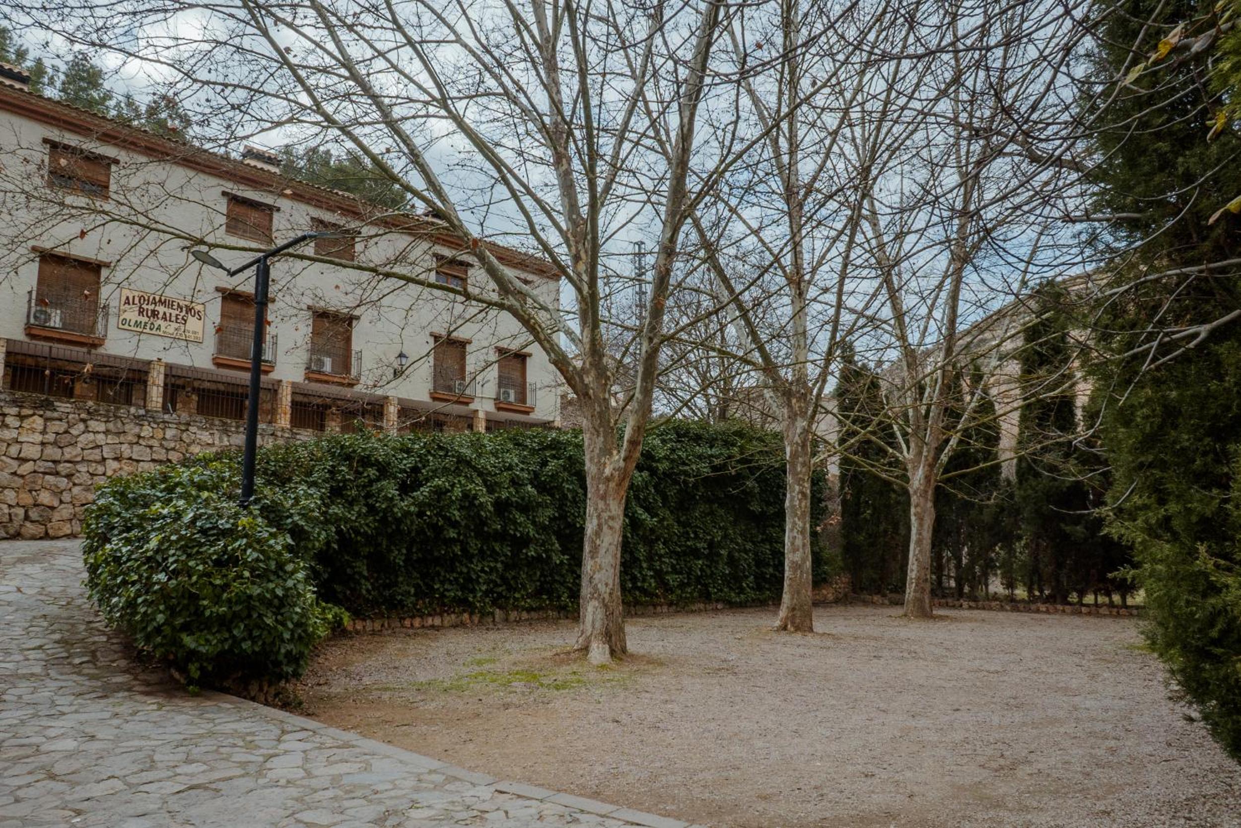 Duplex (2 Adults + 1 Child) - Photo 18