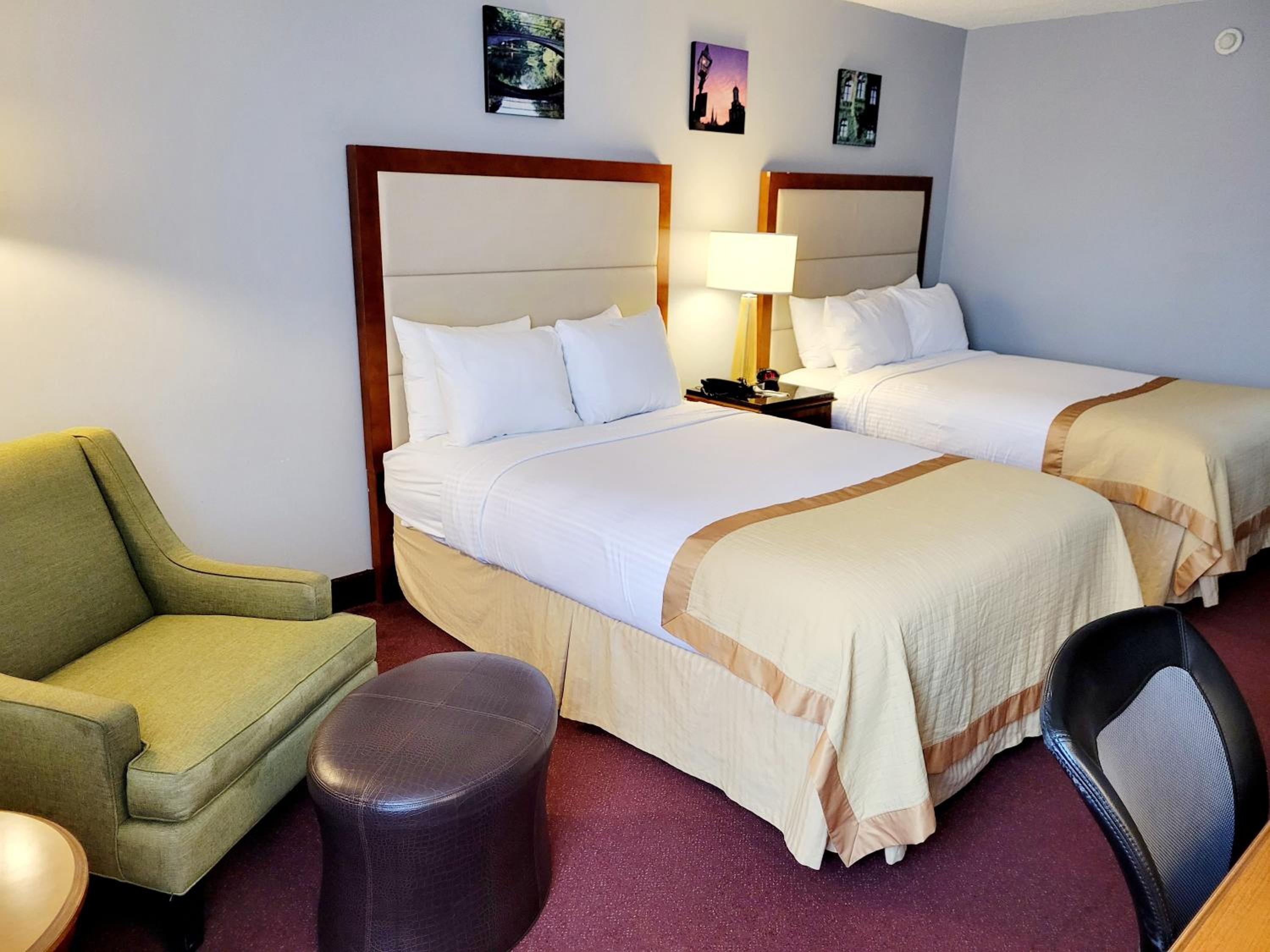 Dog Friendly Two XL Full Beds Non-Smoking