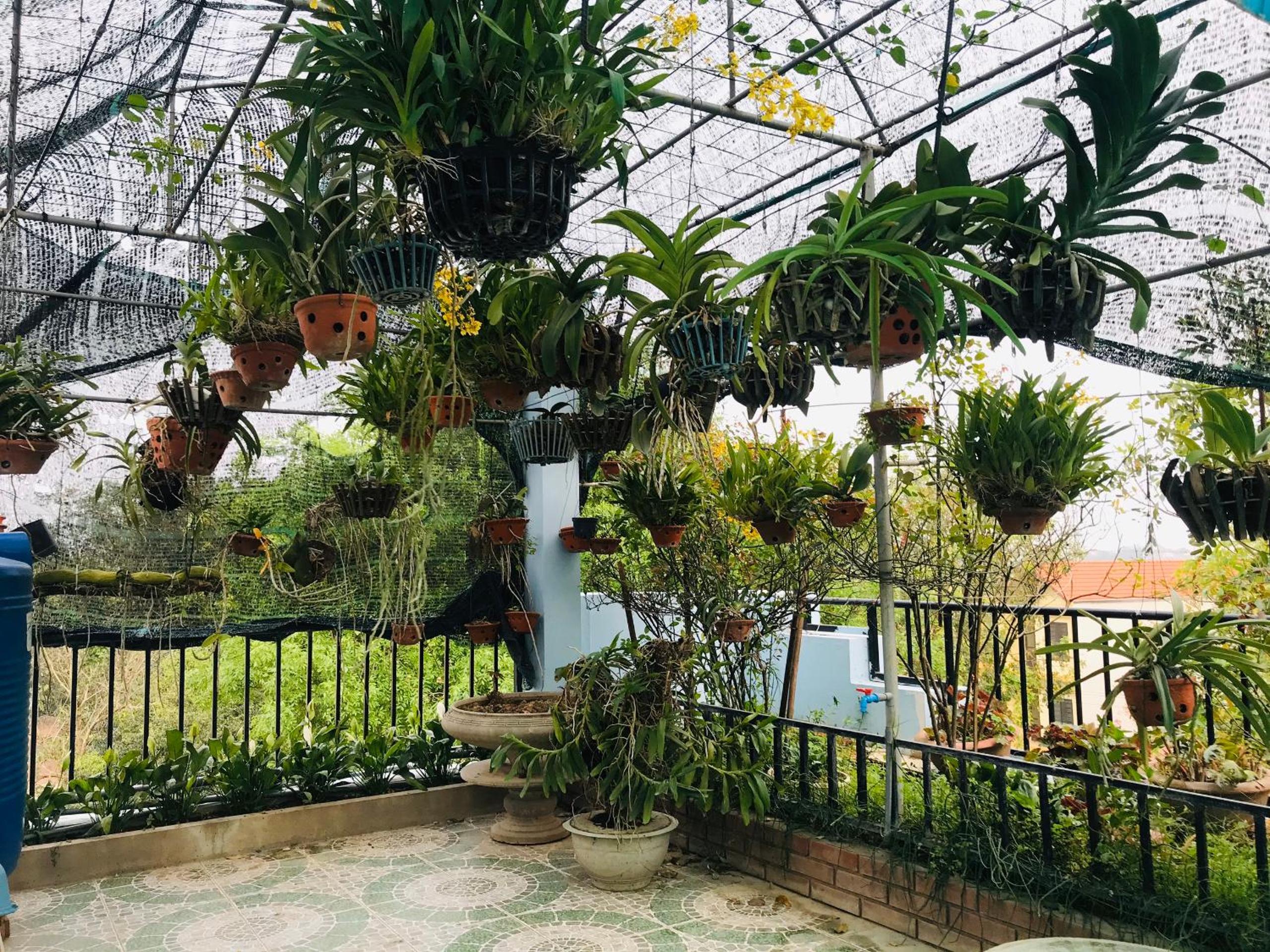 King Room with Garden View photo 3